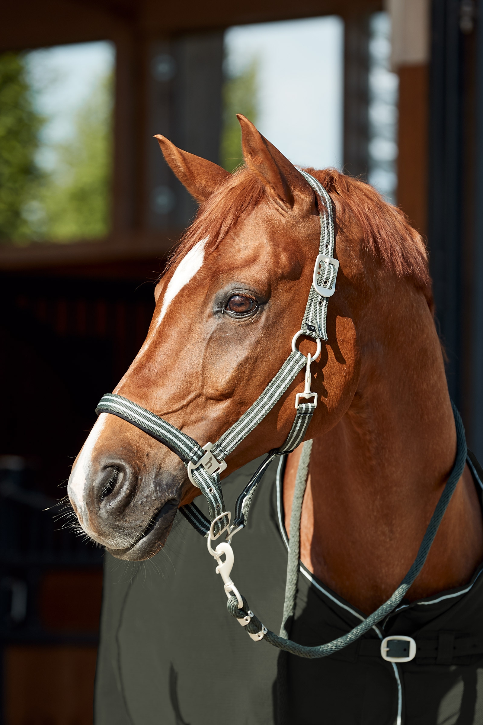 Horze Bari grime & tr&aelig;ktov, s&aelig;t