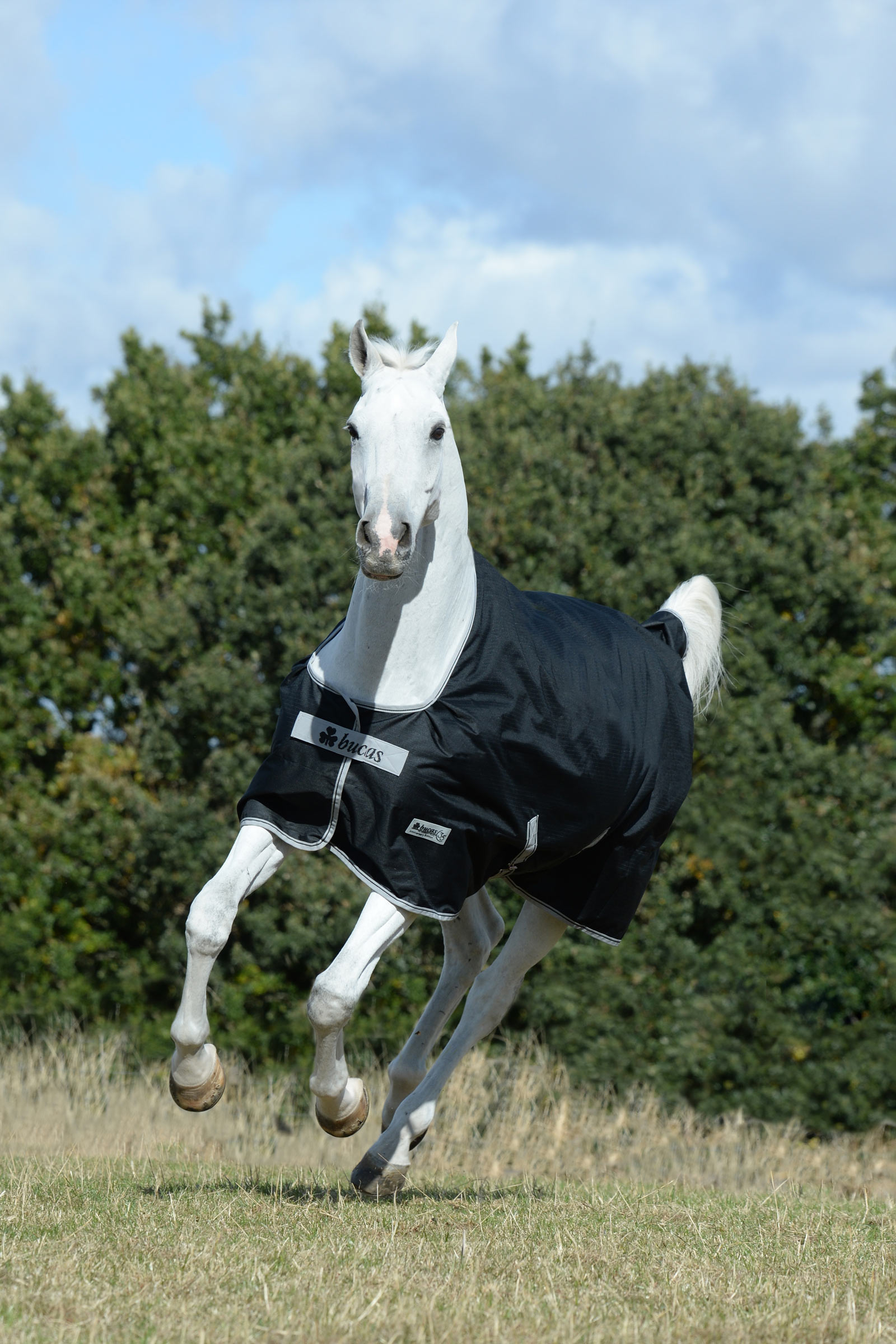 Bucas Anniversary SD let regn-udedækken, 0g