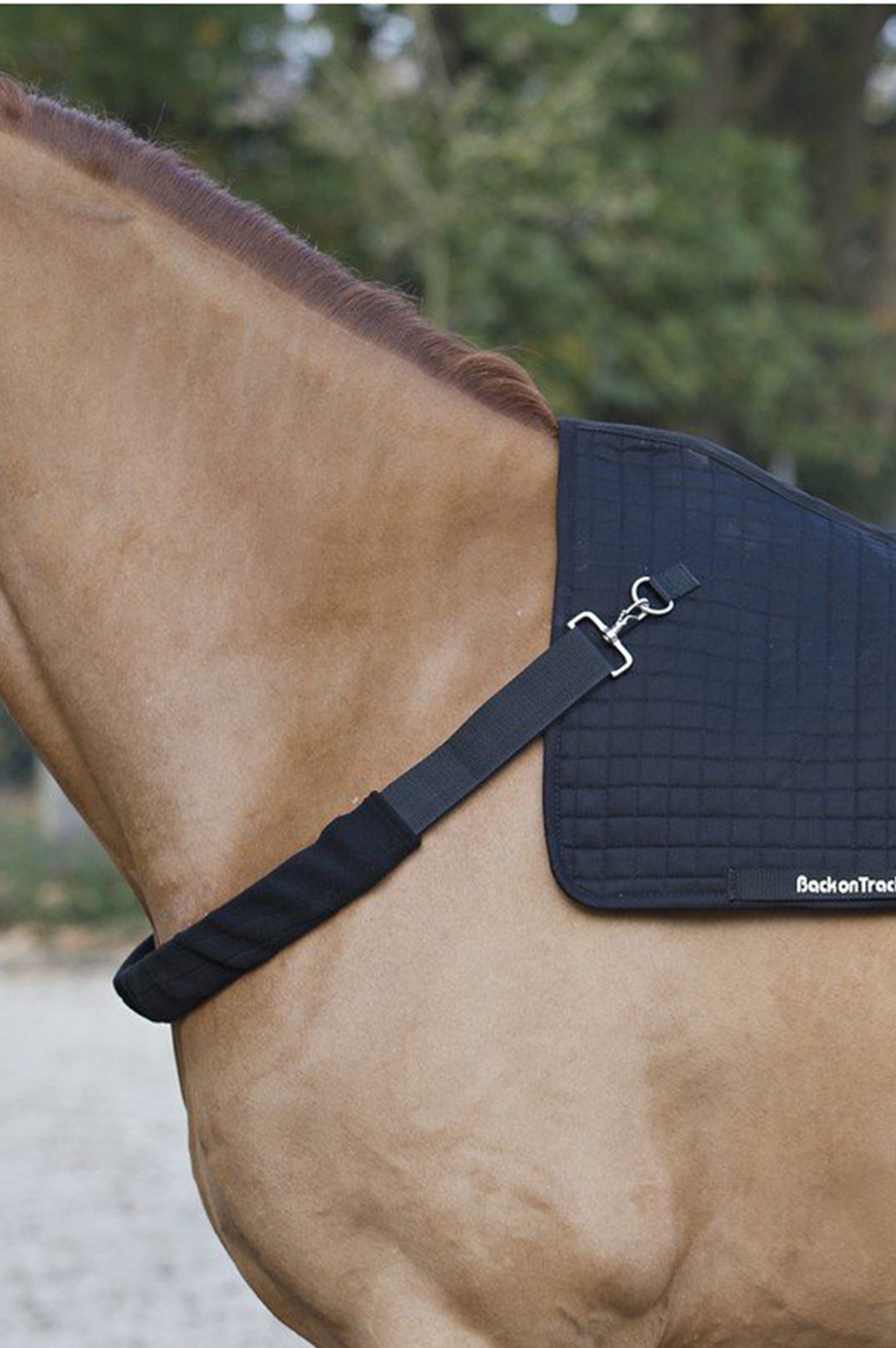 Back on Track seletøj