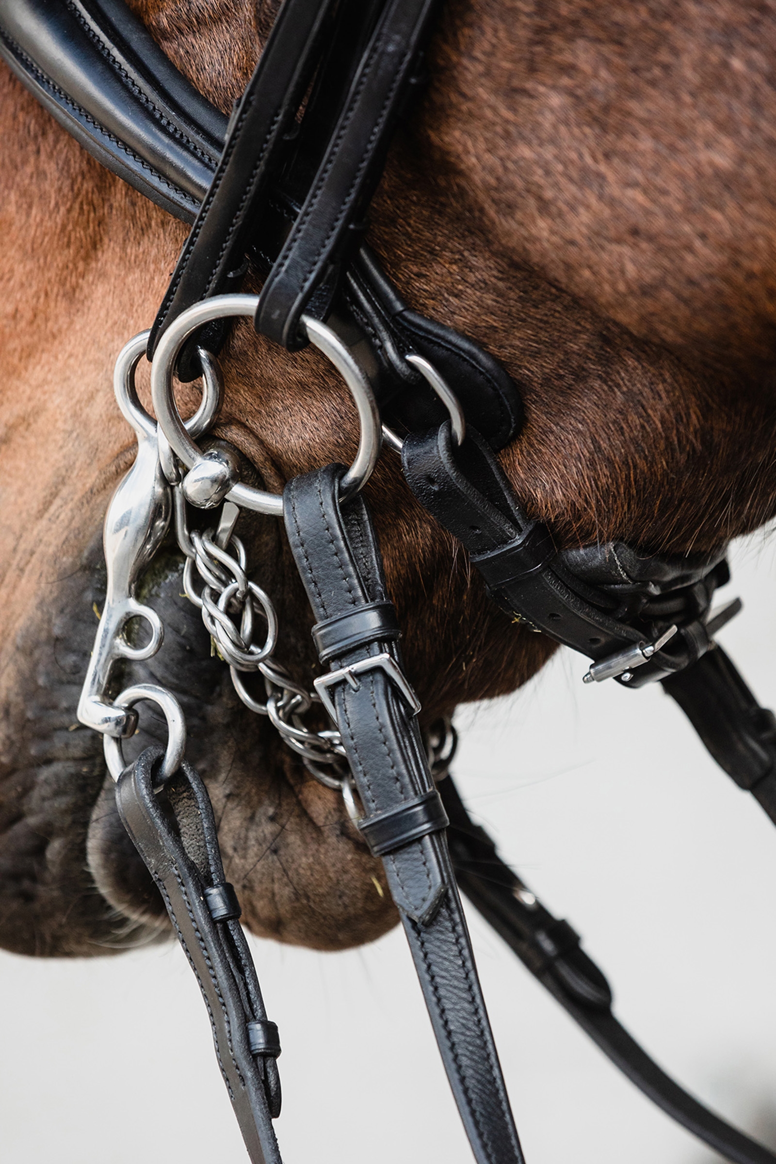 Schockem&ouml;hle Sports Milton Anatomic  Double Bridle