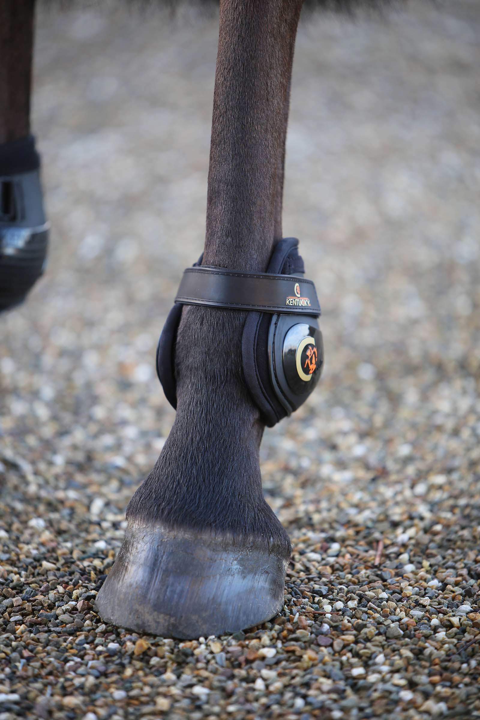 Kentucky Horsewear Moonboots, bagben