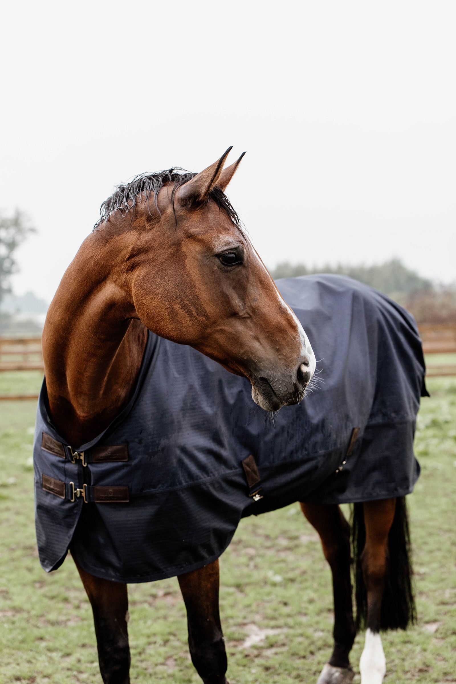 Kentucky Horsewear All Weather Udedækken, 300g