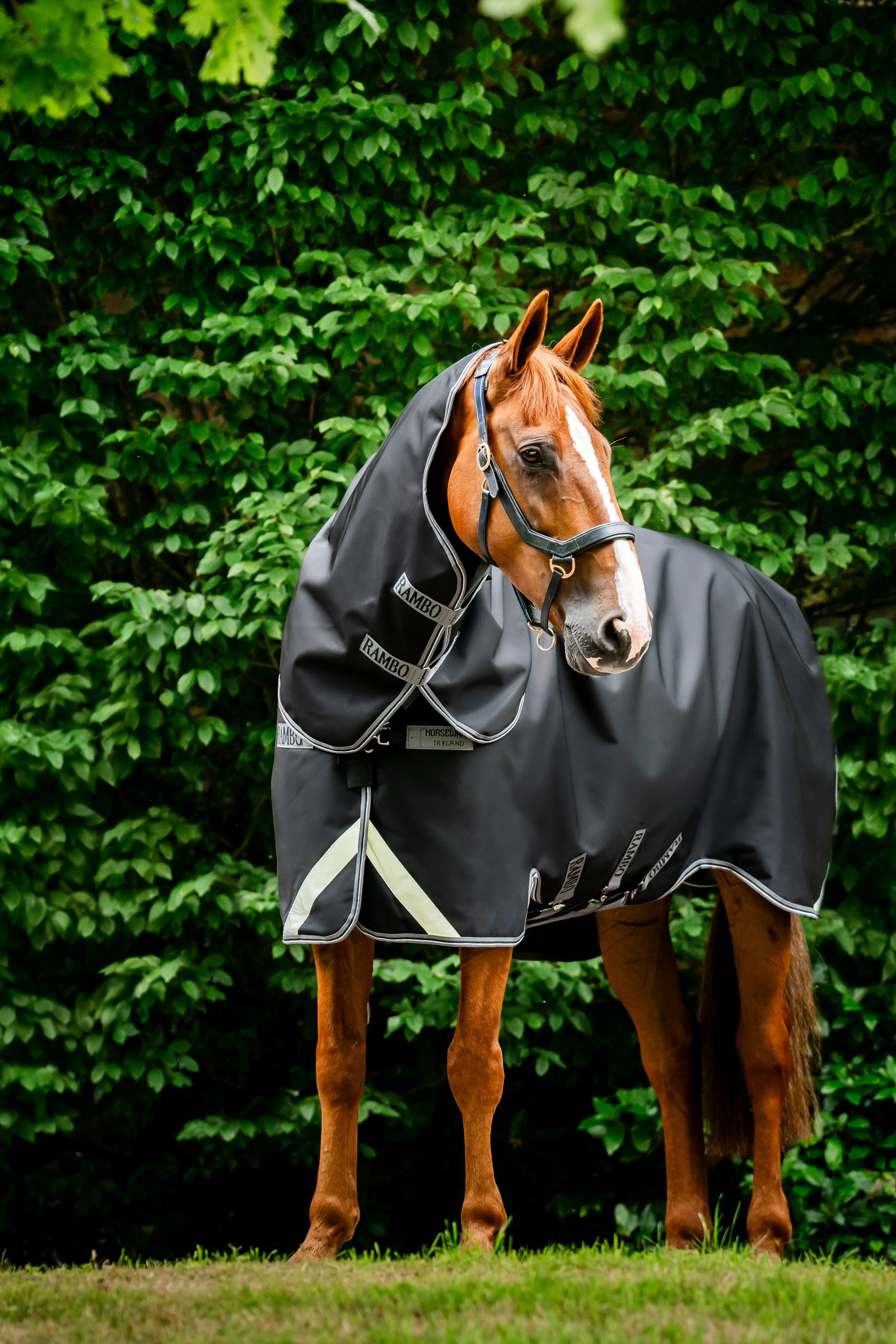 Horseware Rambo 1680D Plus uded&aelig;kken, 100 g