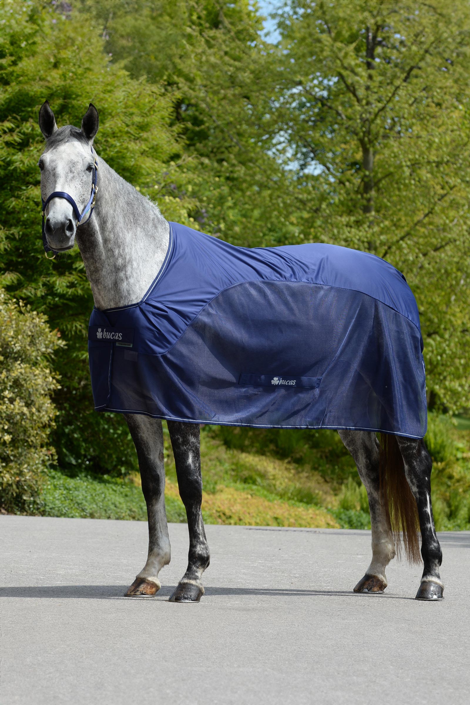 Bucas Competition cooler d&aelig;kken