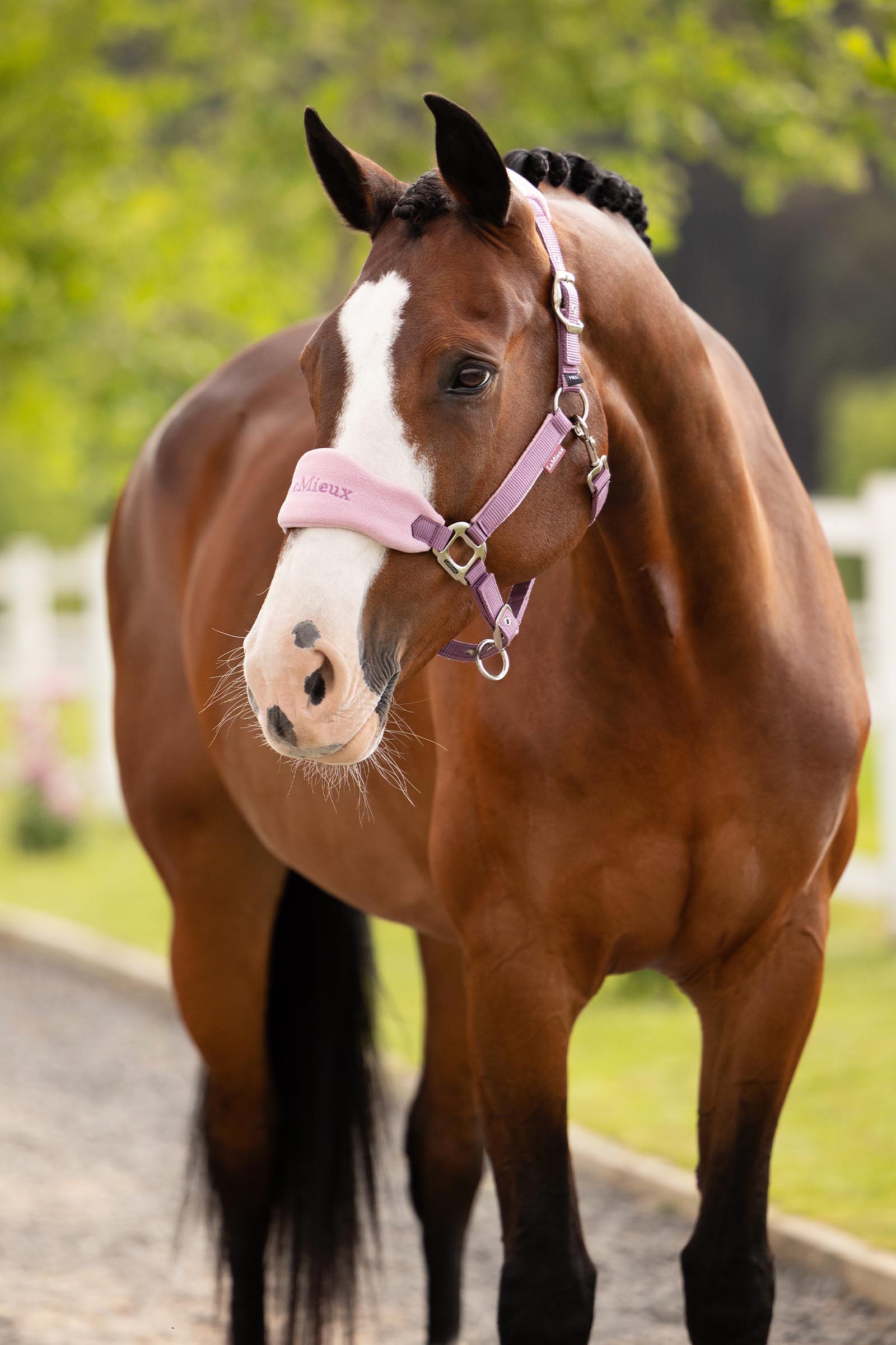 LeMieux Vogue grime og tr&aelig;ktov s&aelig;t