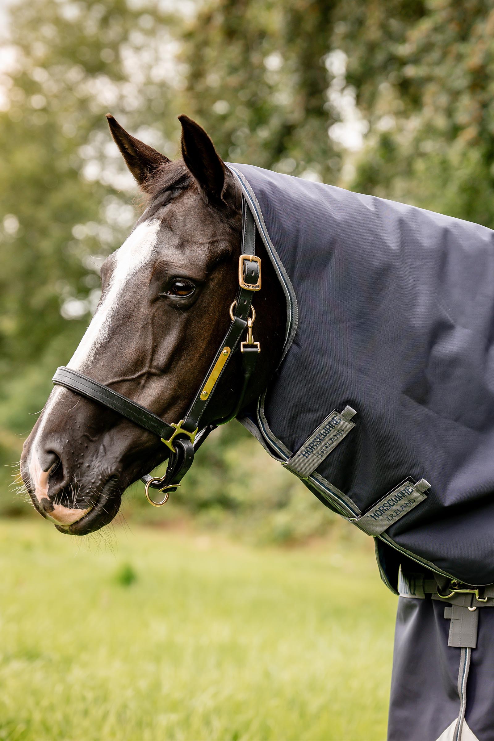 Horseware Rambo Optimo Plus Budle Uded&aelig;kken (m/ 200g Liner)