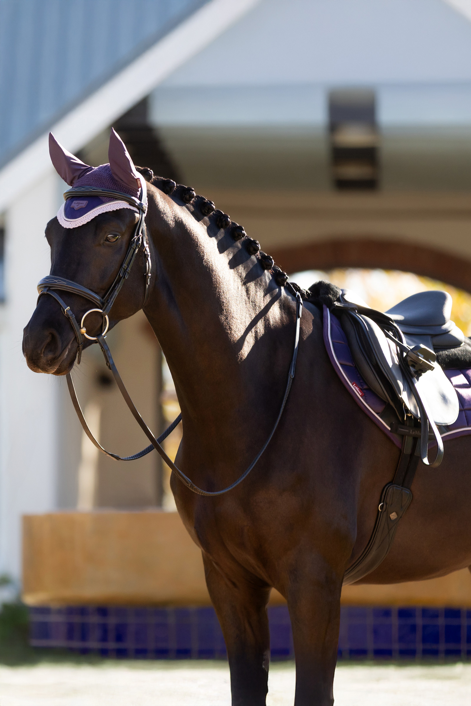 LeMieux Merino+ Loire klassisk Close Contact sadelunderlag