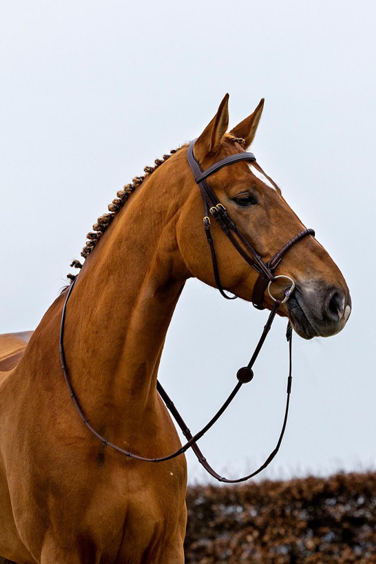 Trust Equestrian Dublin Reb N&aelig;seb&aring;nd med Bridle