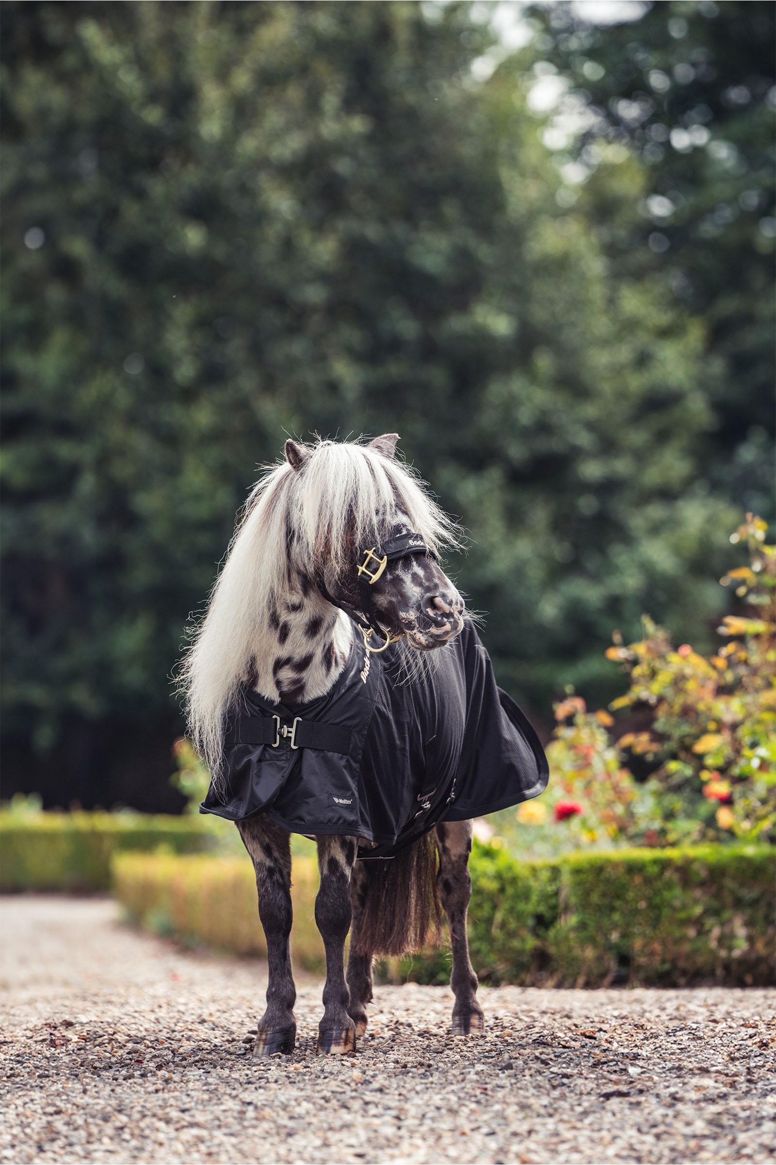 Back on Track Royal Pony Netd&aelig;kken Deluxe