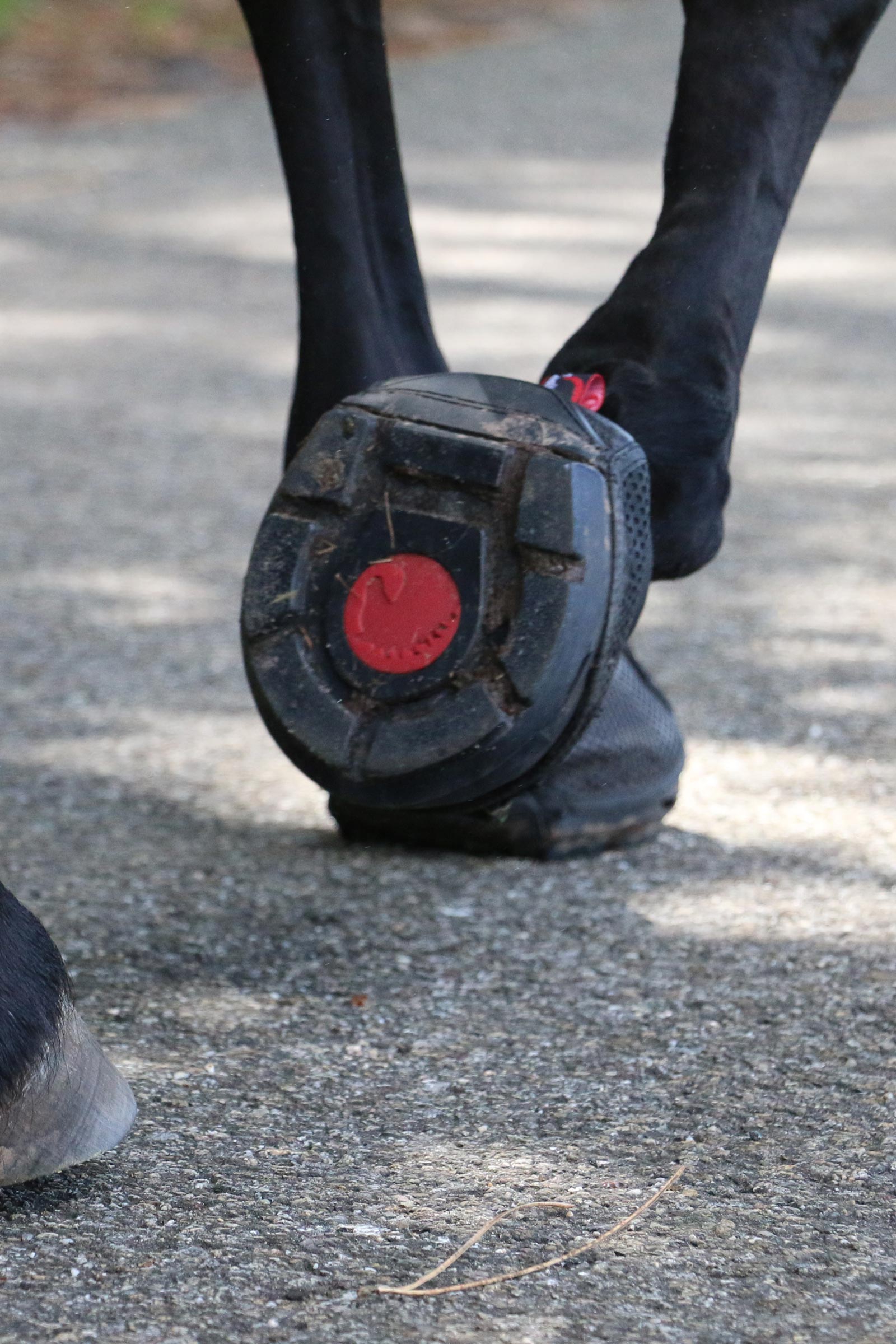 Cavallo Hoof Boots F.R.A. Trek boots til heste (smal/par)