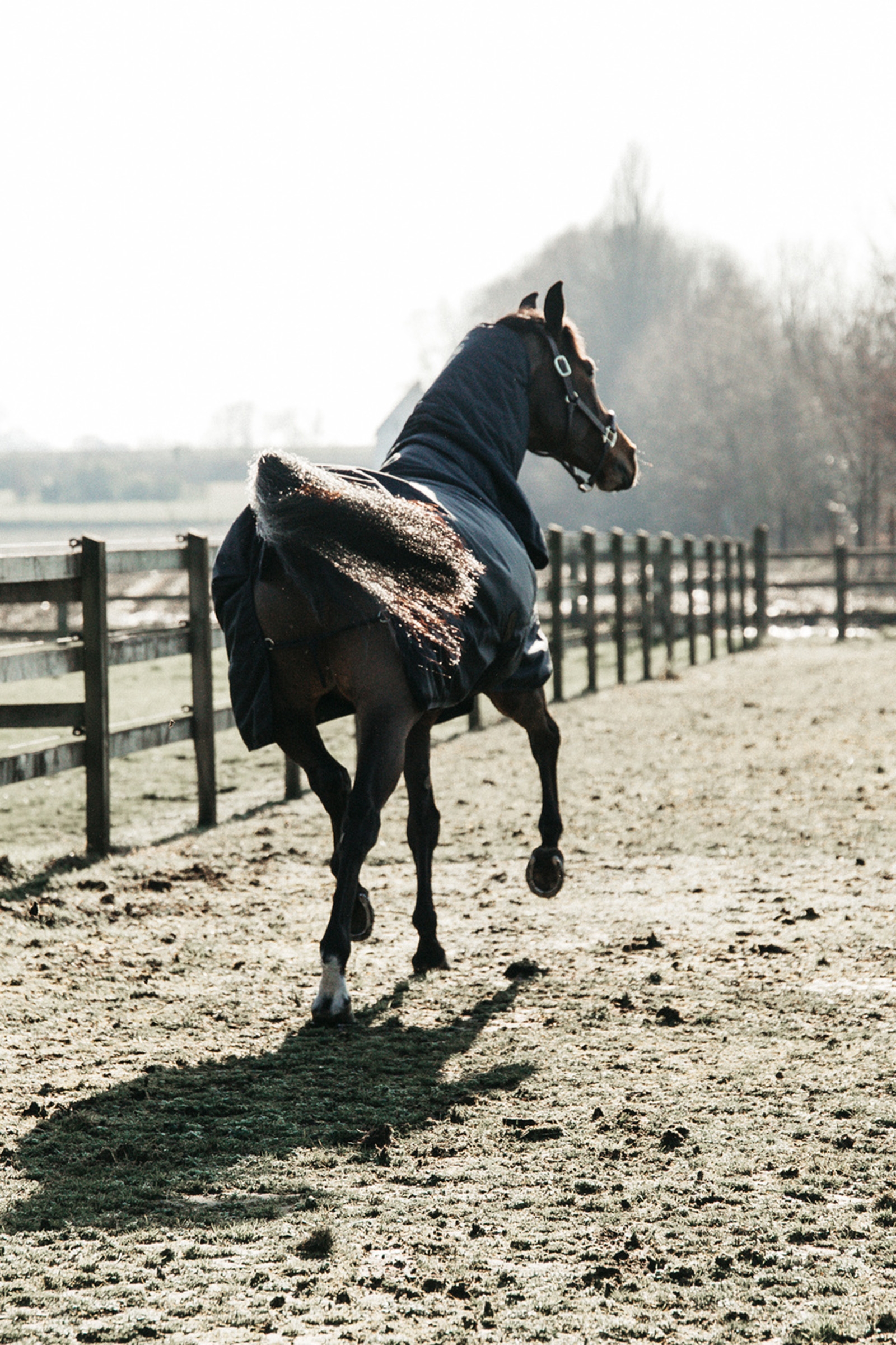 Kentucky Horsewear All Weather Classic overgangsdækken, 50 g