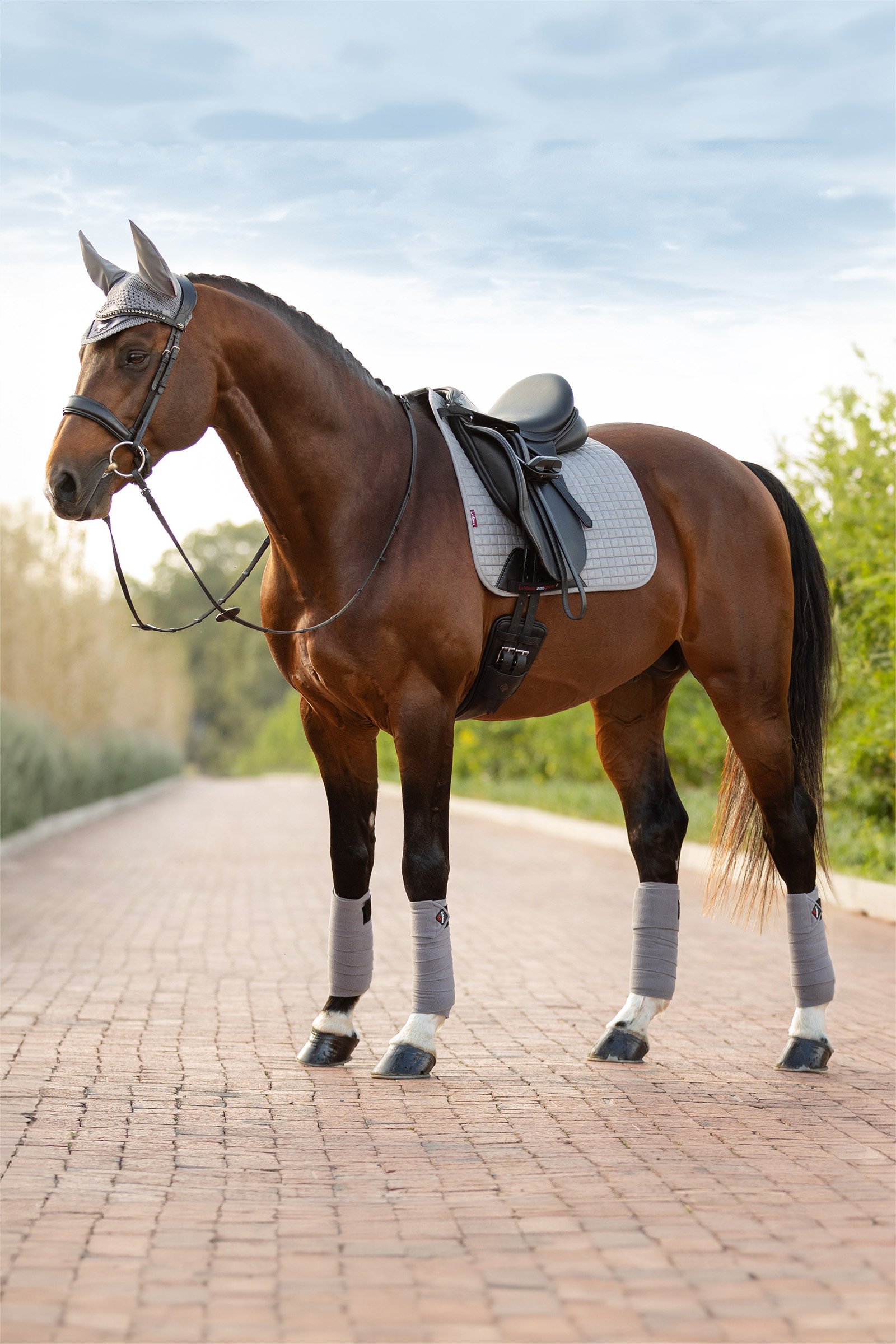 Grey LeMieux Suede dressurunderlag