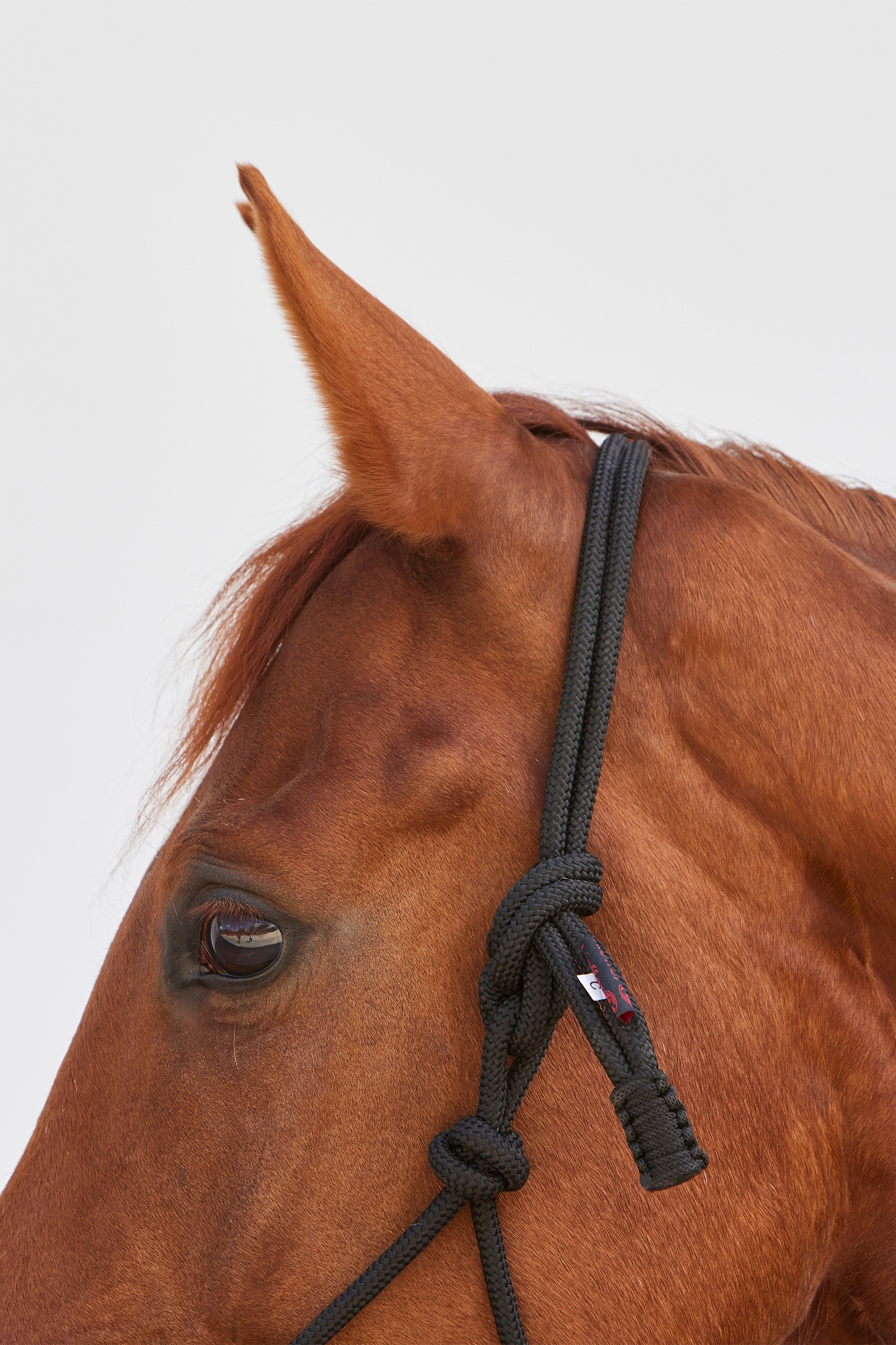 Kieffer Ruby Rope Grime