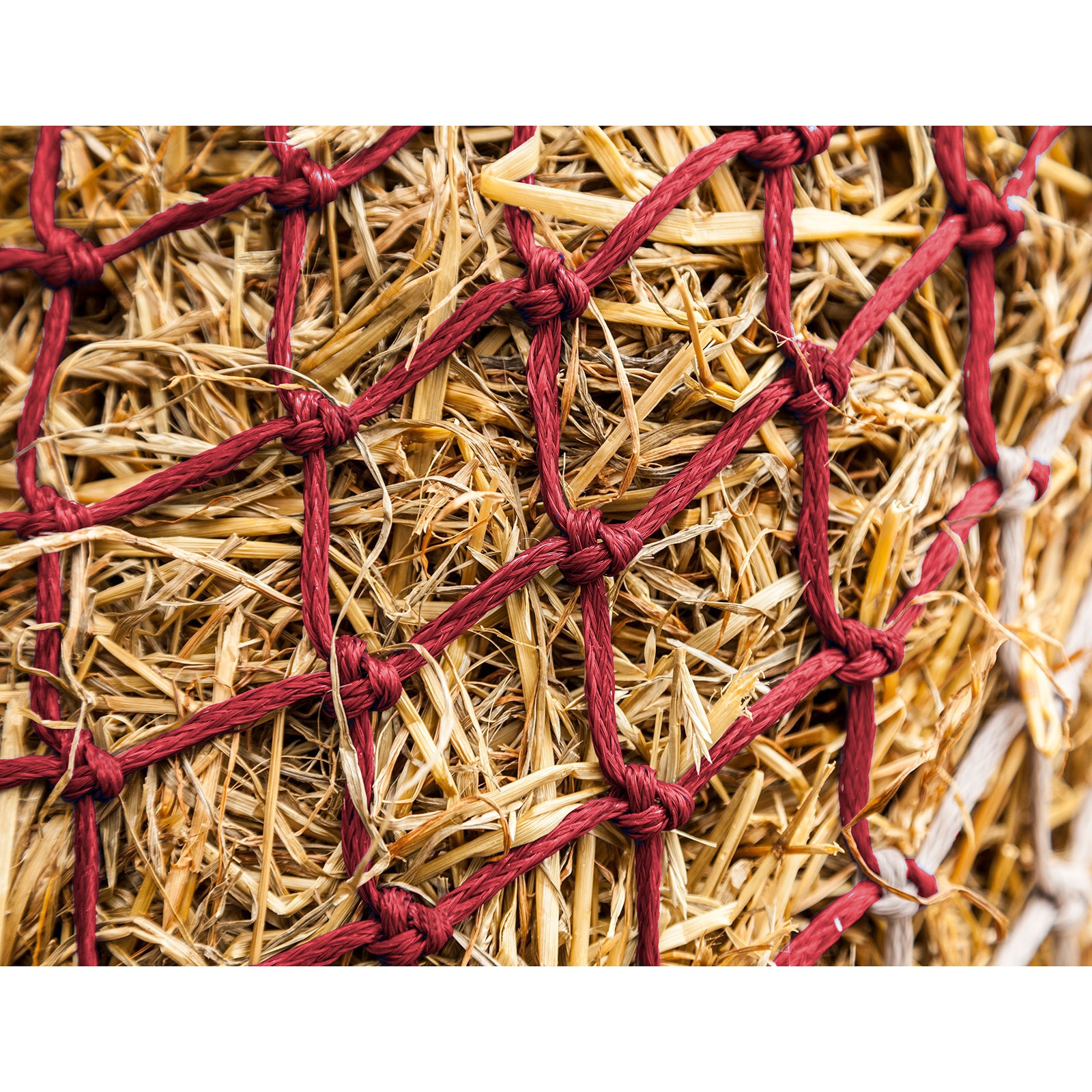 LeMieux Hippo H&oslash;net