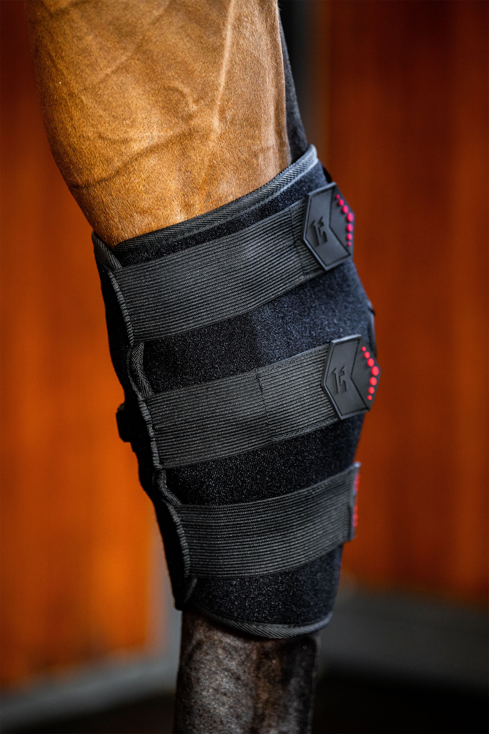 Horseware LED r&oslash;dlysterapi hasebeskytter (1 stk.)