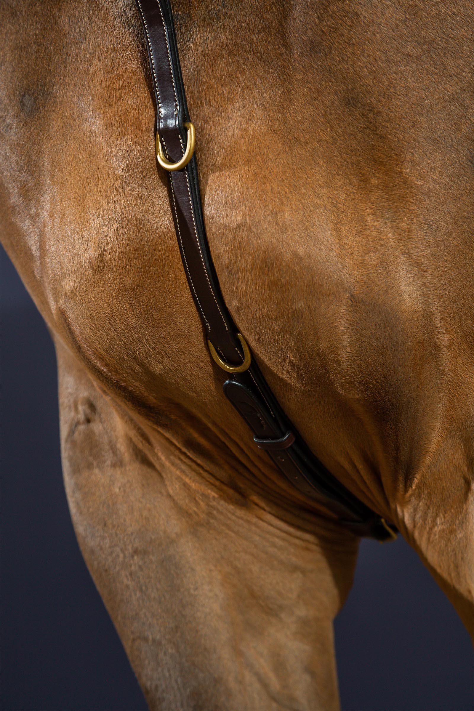 Dy'on D Collection fort&oslash;j med bro