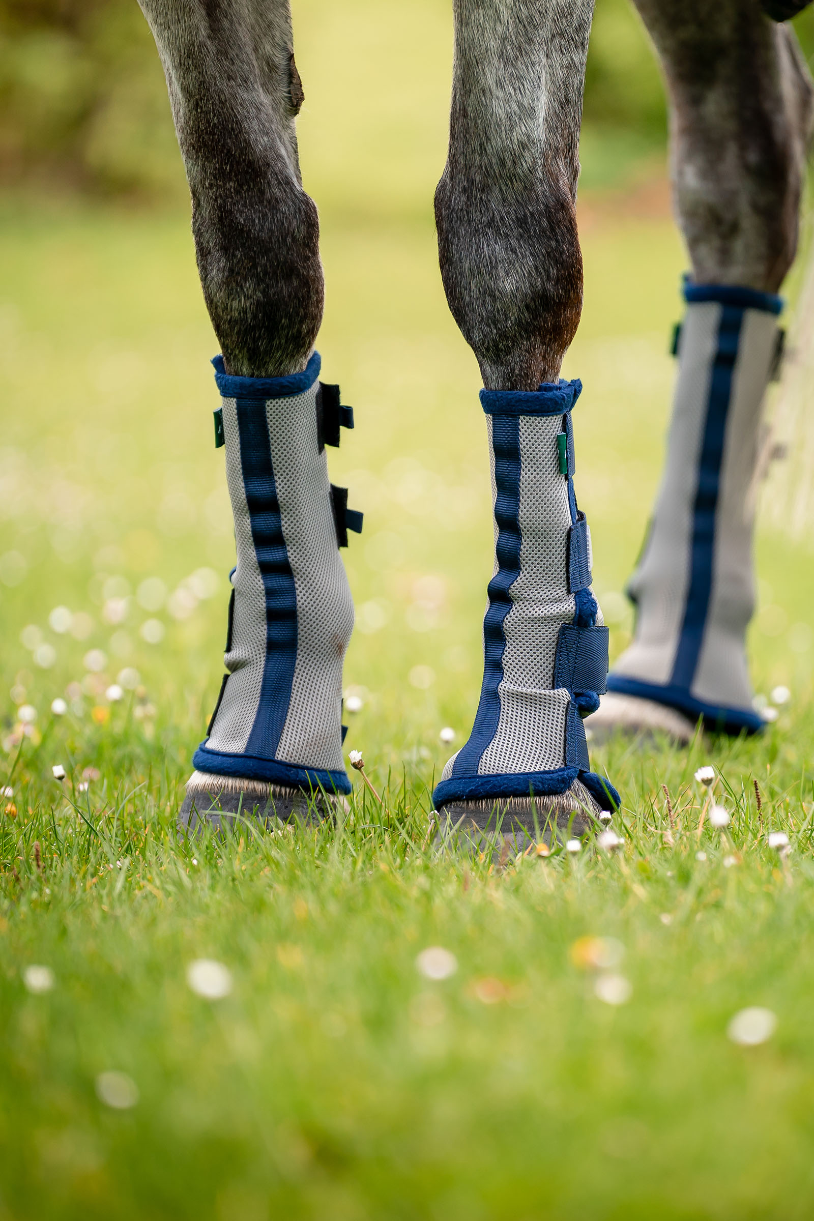Horseware Fly Boots - s&aelig;t med 2