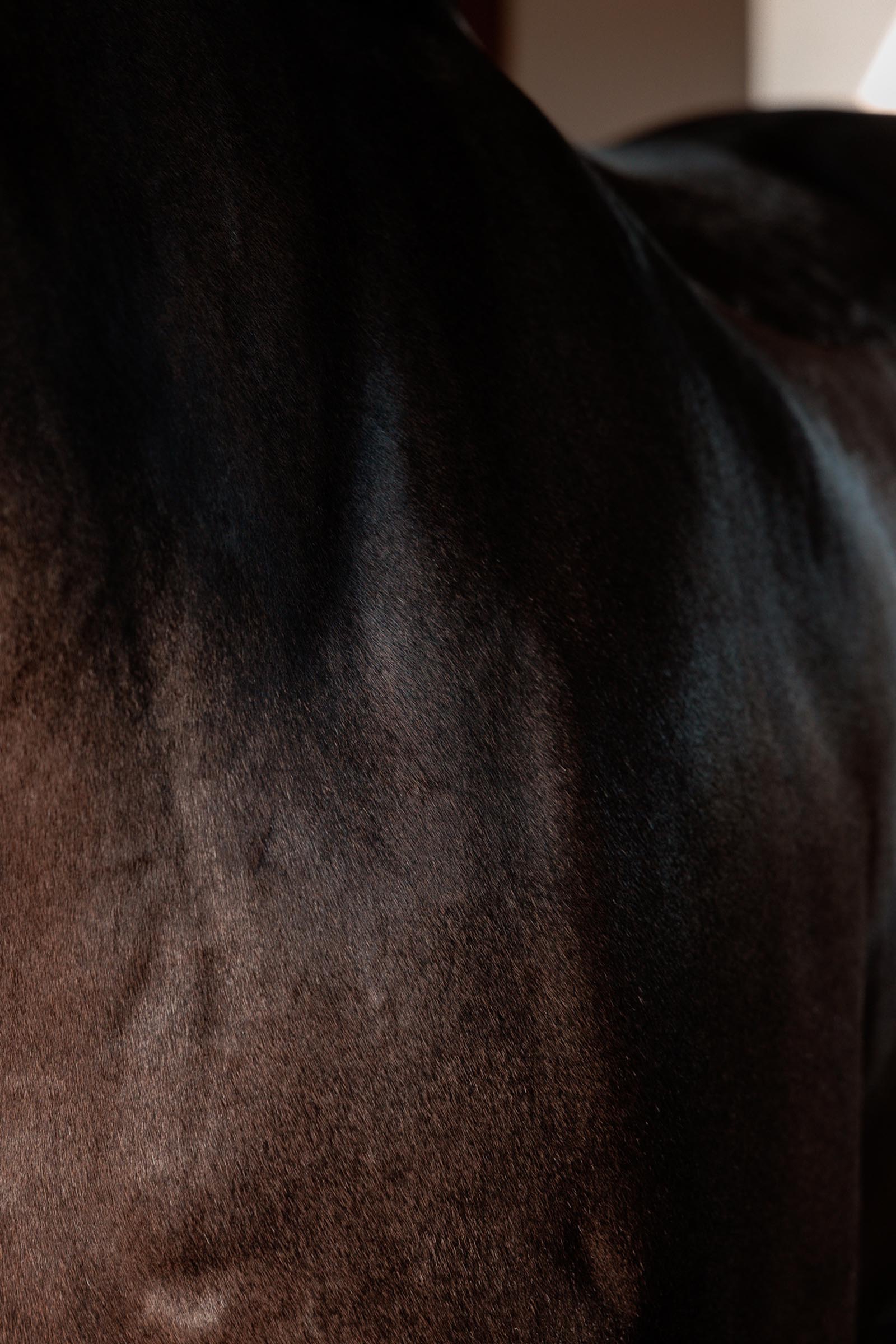 Grooming Deluxe Super Shine mandel glansgel, 250 ml