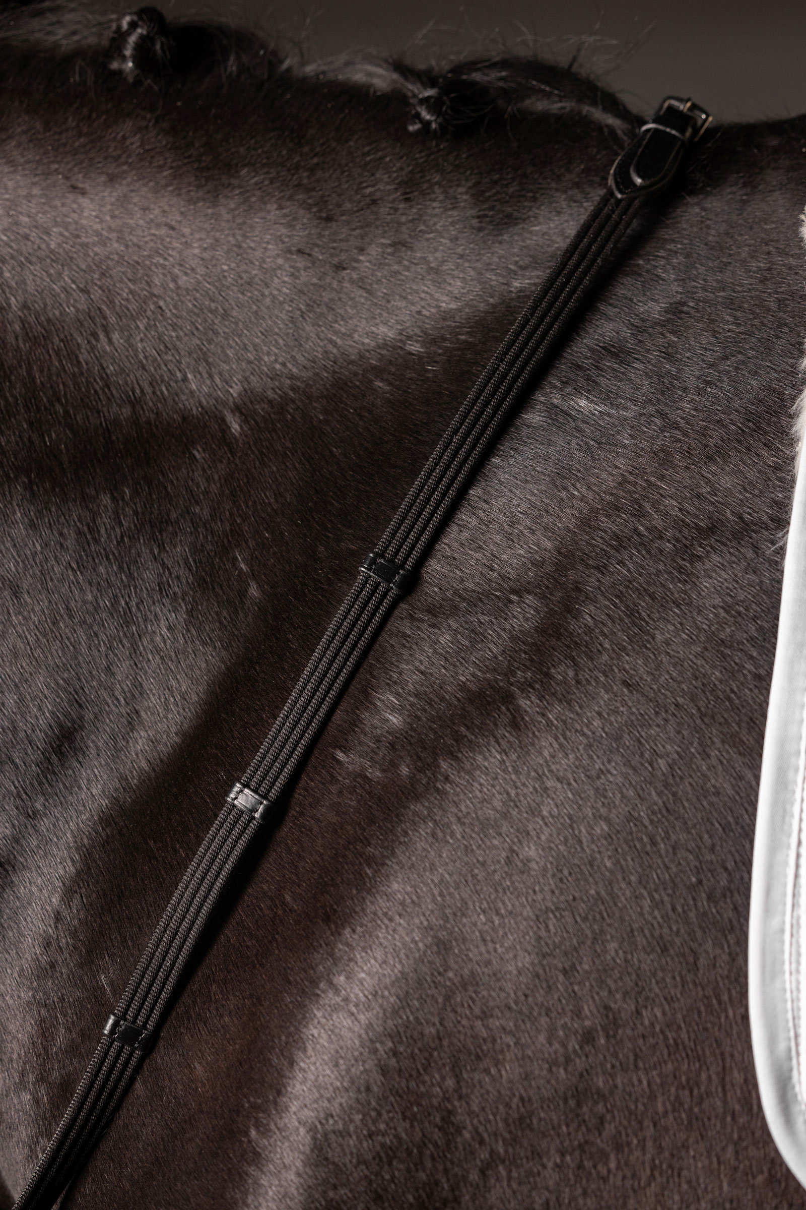 LeMieux Continental vævede tøjler