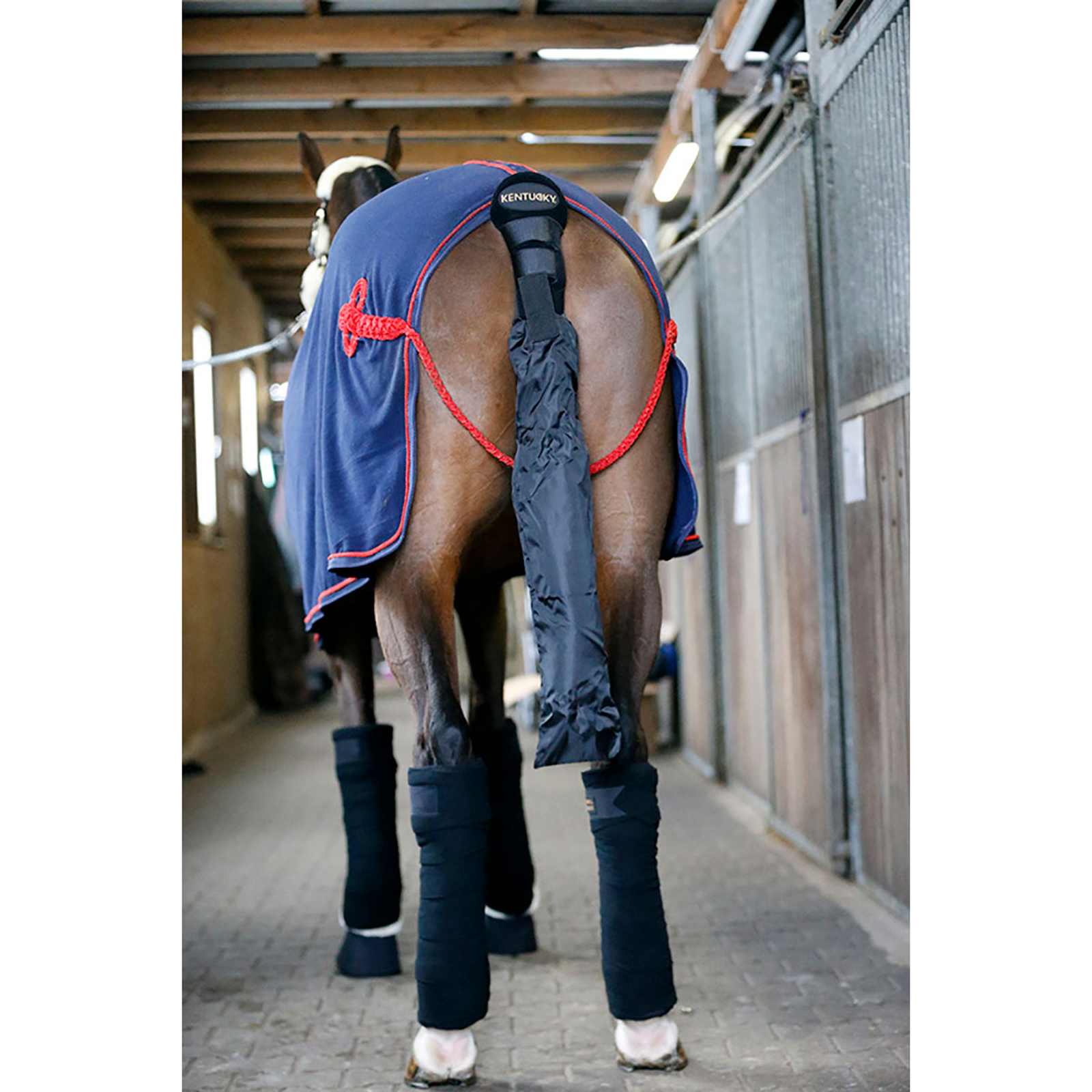 Kentucky Horsewear Halebeskytter / Halepose