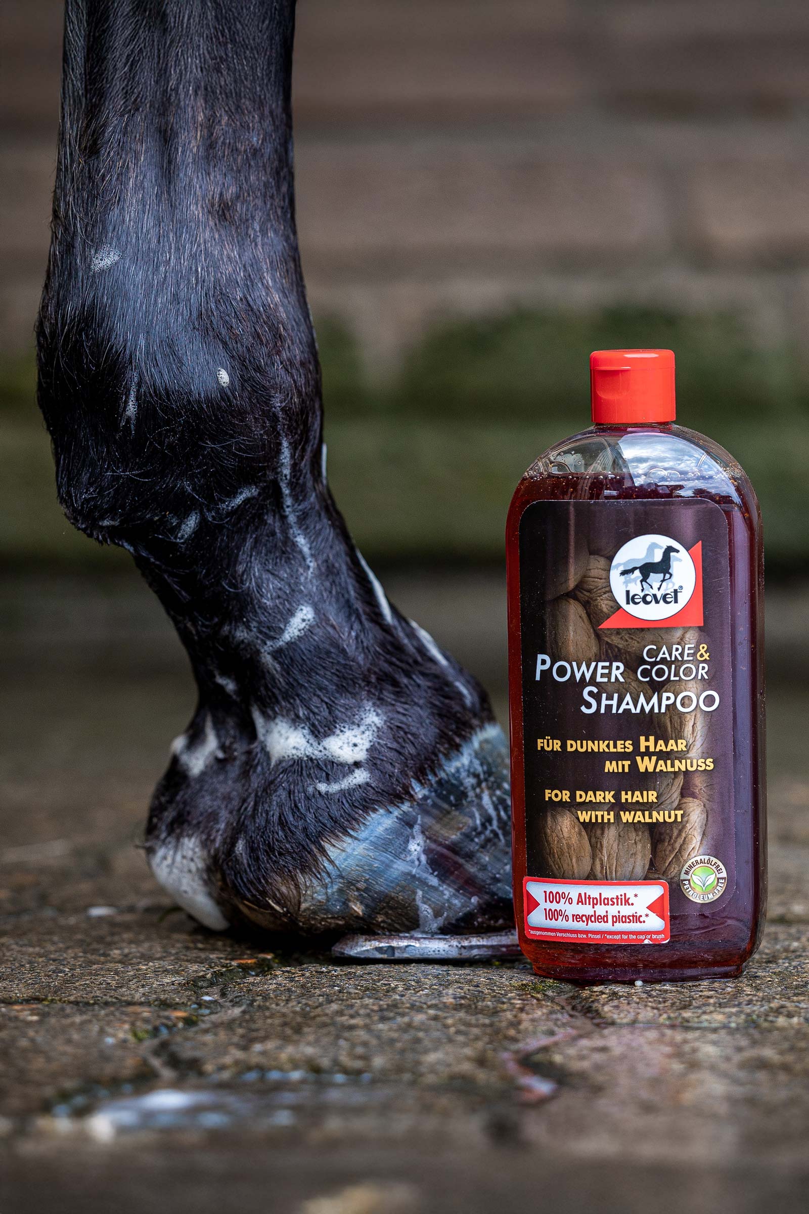 Leovet Power Shampoo Walnut