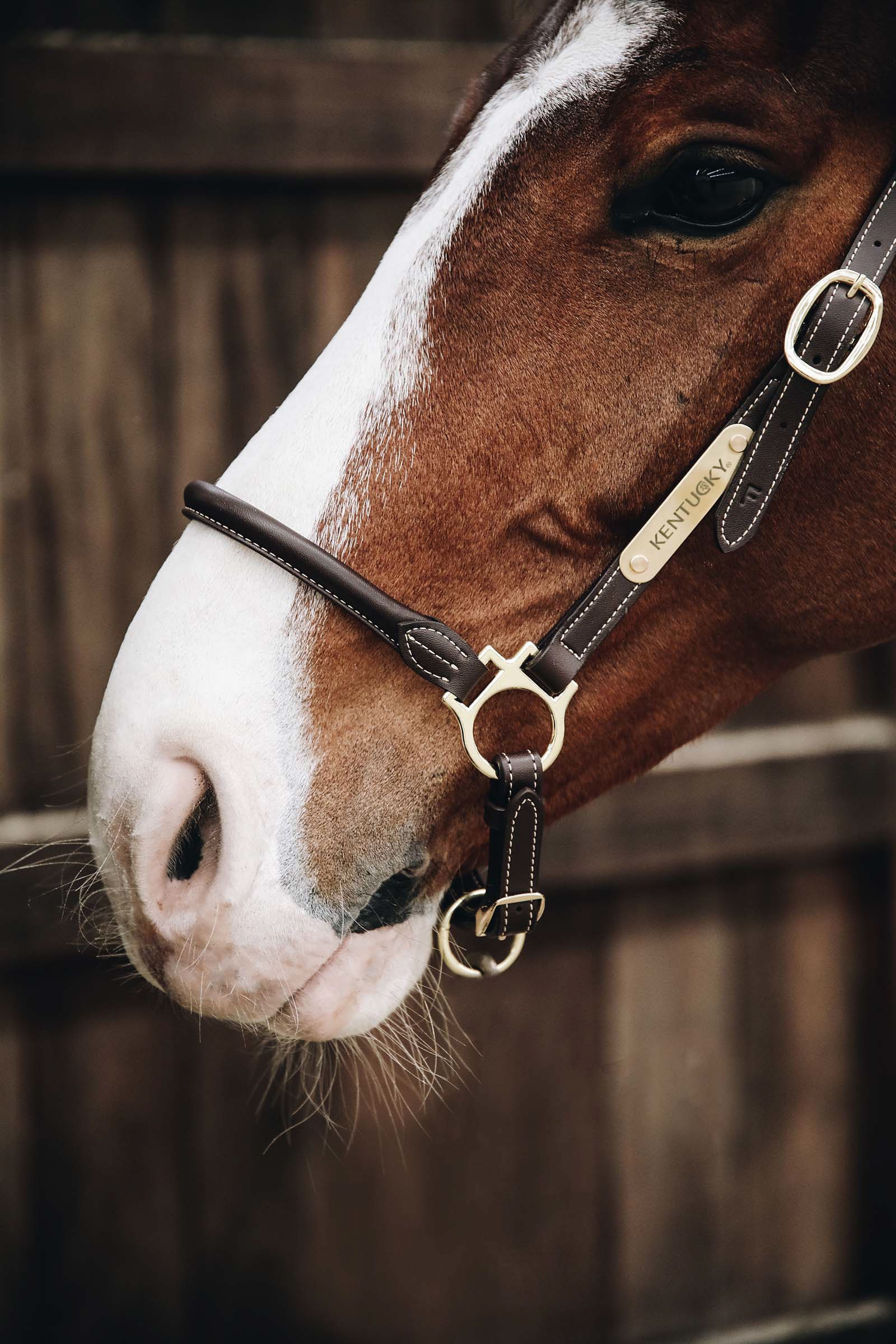 Kentucky Horsewear lædergrimer til pleje
