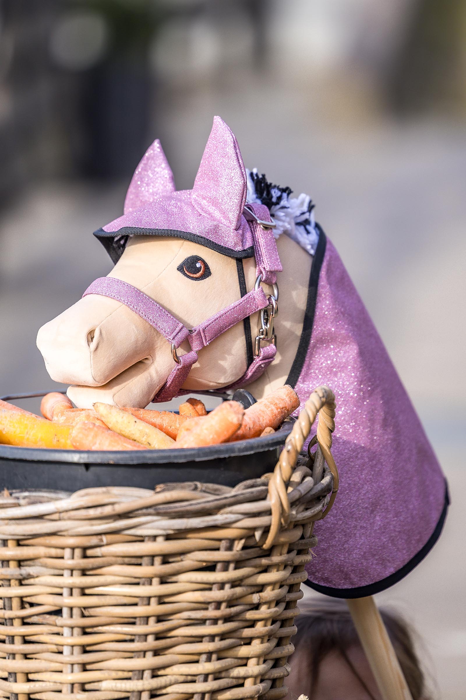 My Hobby Horse d&aelig;kken og fluemaske