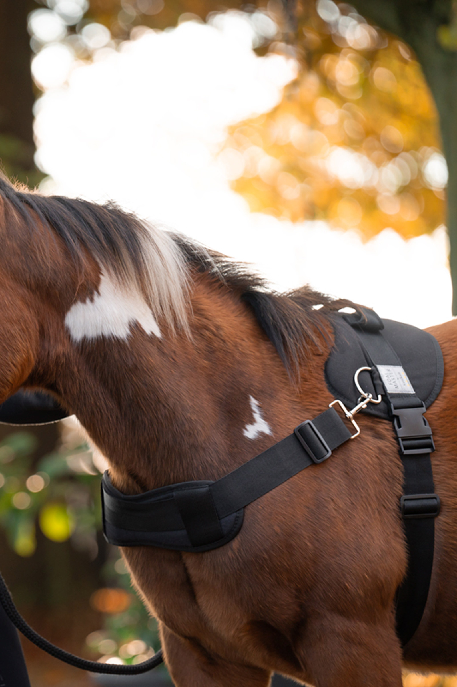 Kavalkade Foalmaster f&oslash;lharne med h&aring;ndtag