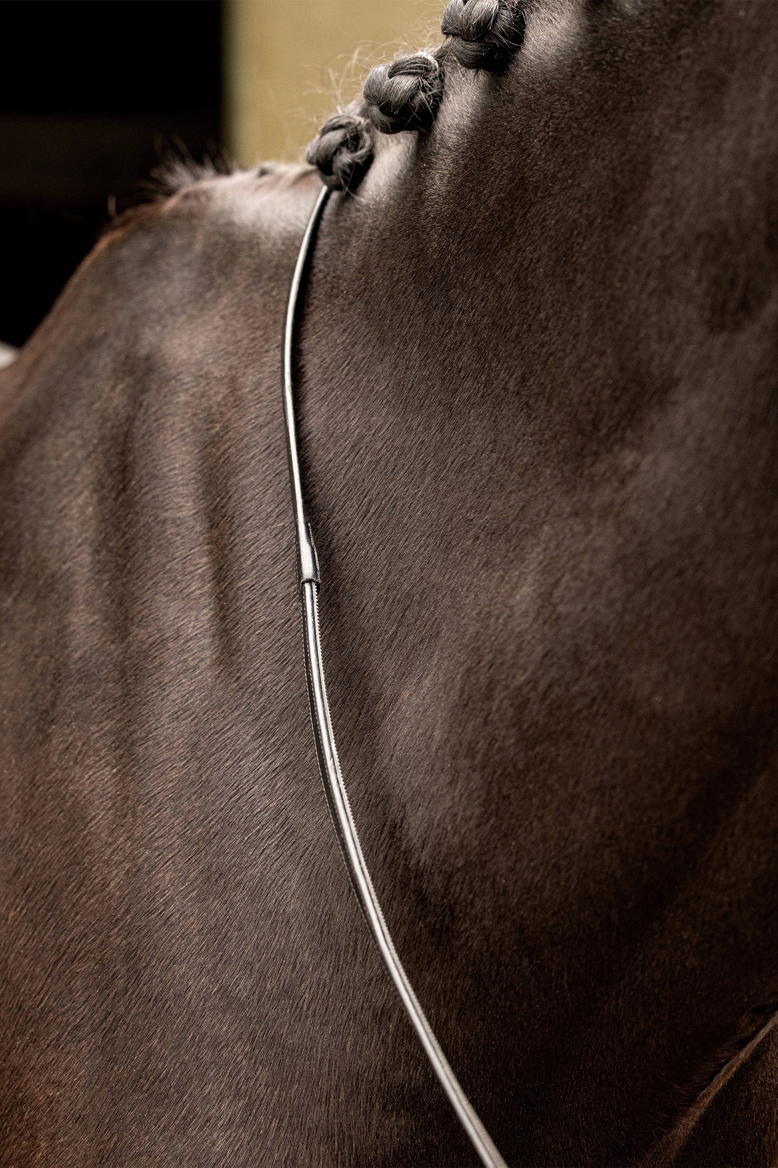 LeMieux Rubber Half-Lined T&oslash;jler