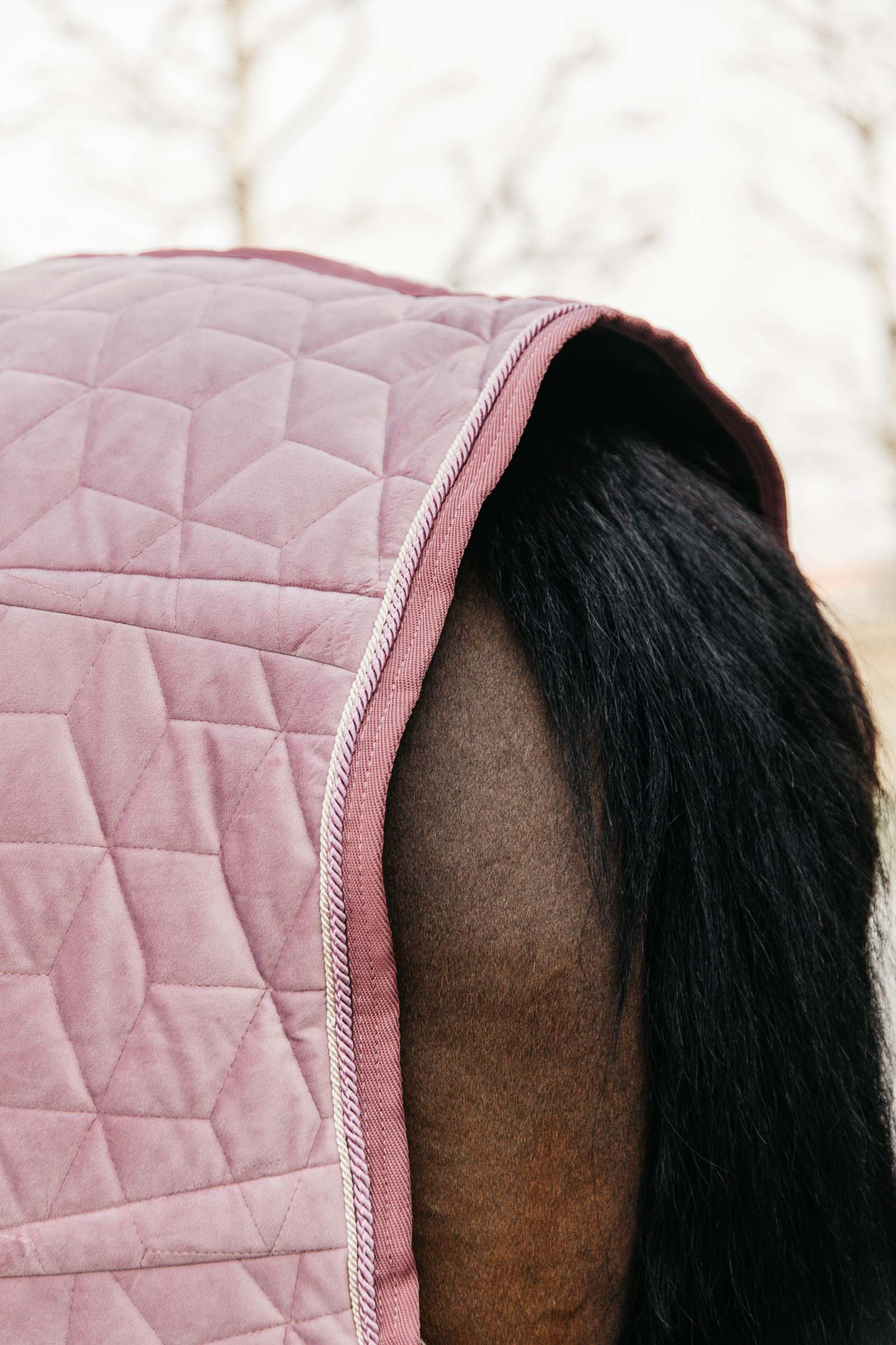 Kentucky Horsewear Velvet Showdækken, 160 gr