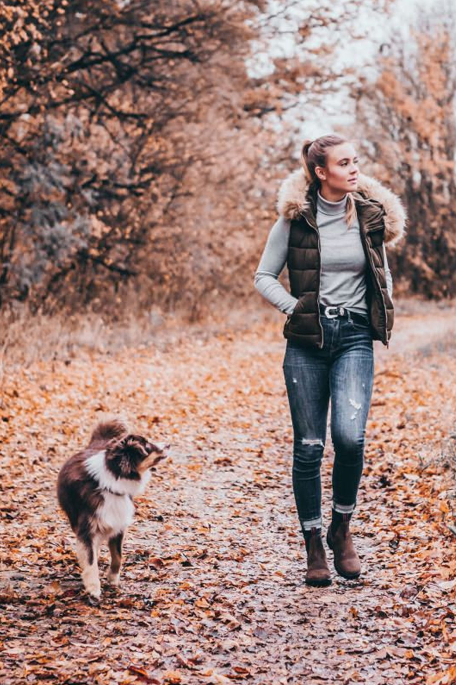 Suedwind Footwear New Work Ankelstøvler, Chelsea