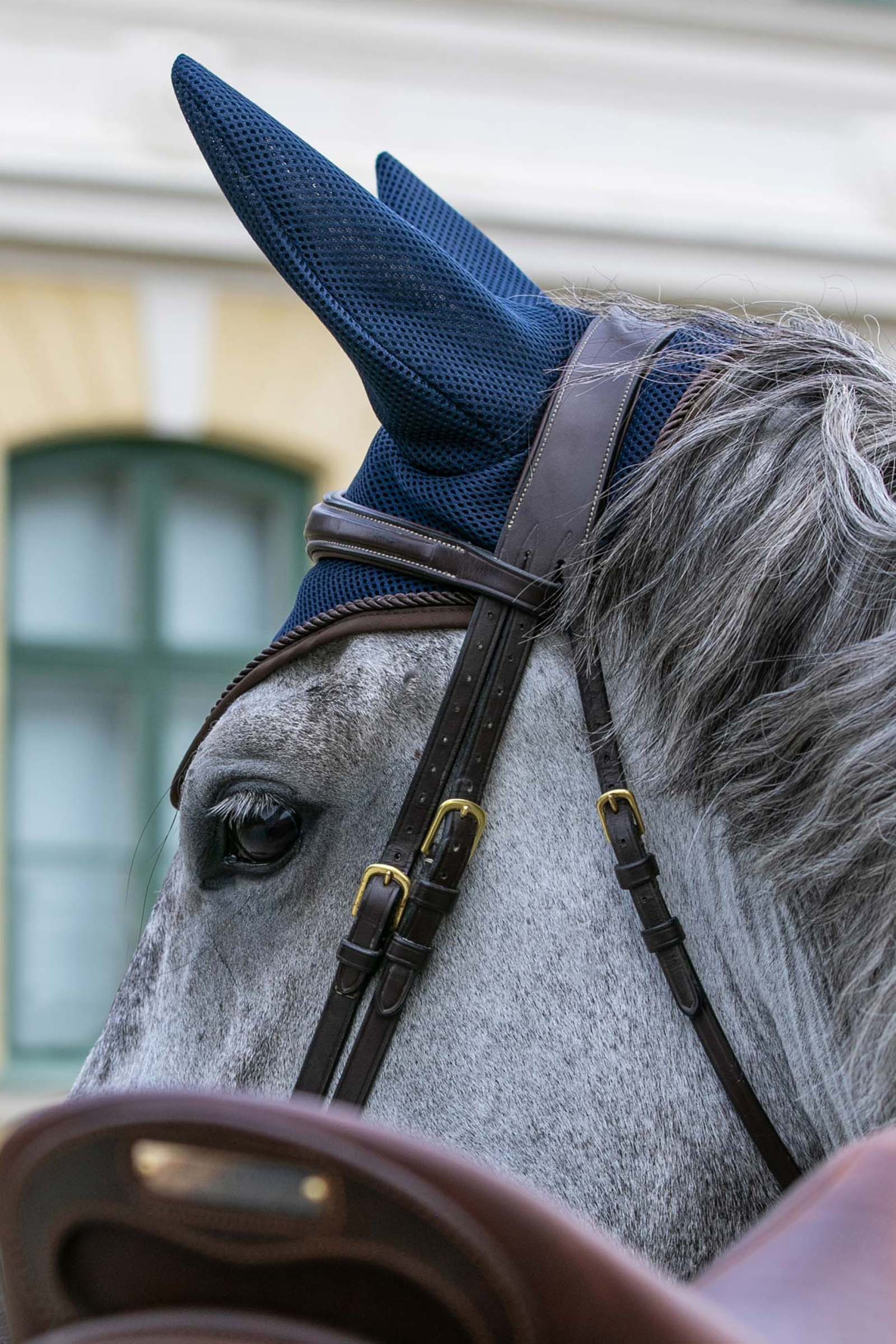 Back on Track Aitflow Hut