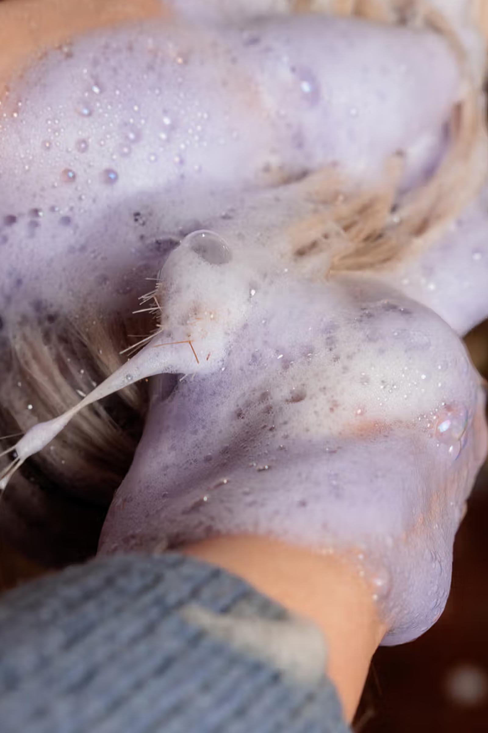 Grooming Deluxe Mandel gloss lilla shampoo, 500 ml