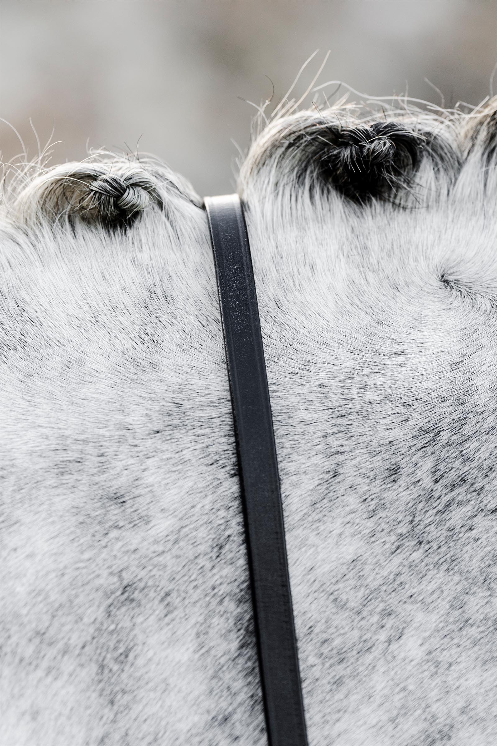 Horseware kandar t&oslash;jler