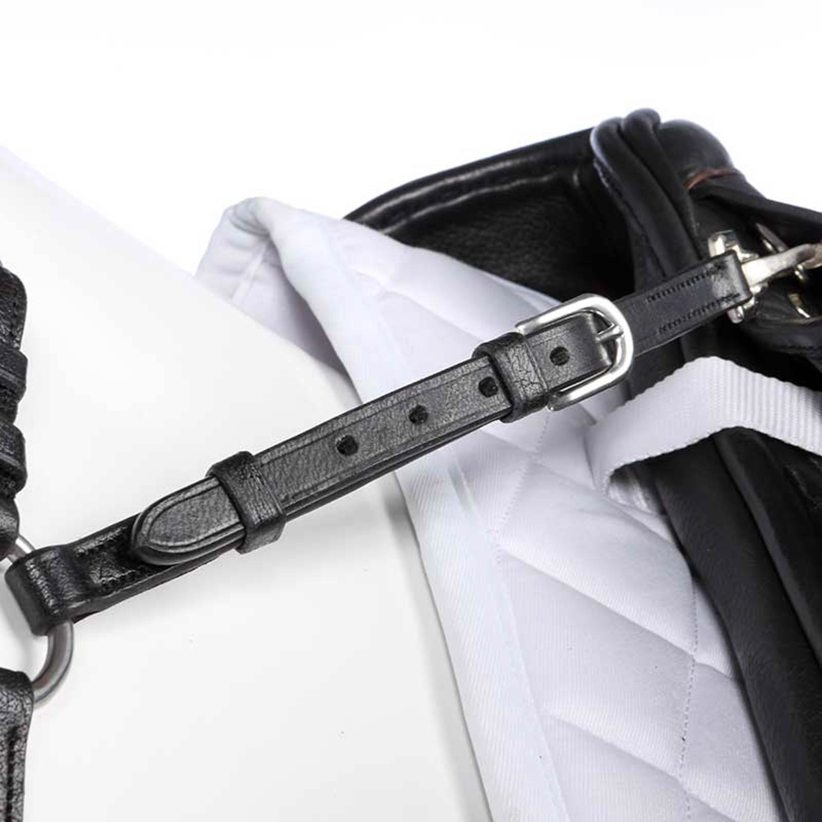 Kavalkade Diandro Fortøj