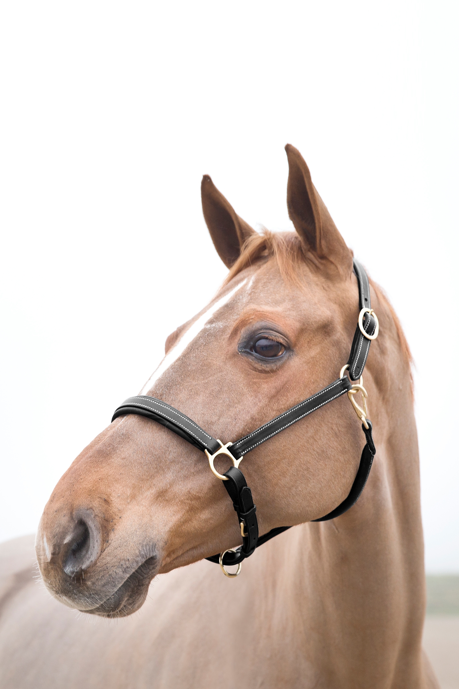 Horze Largo lædergrime