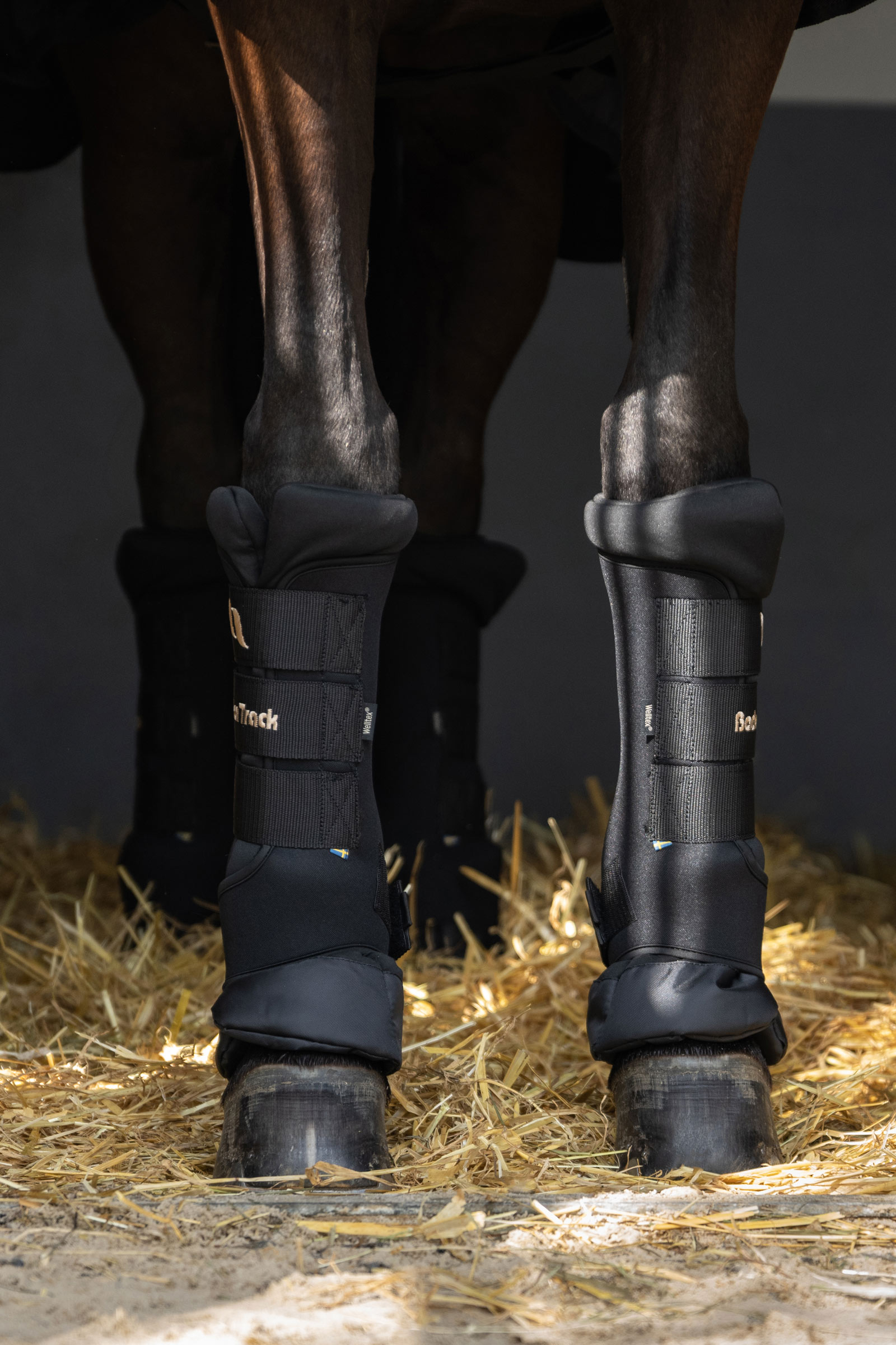 Back On Track Quick Royal gamacher