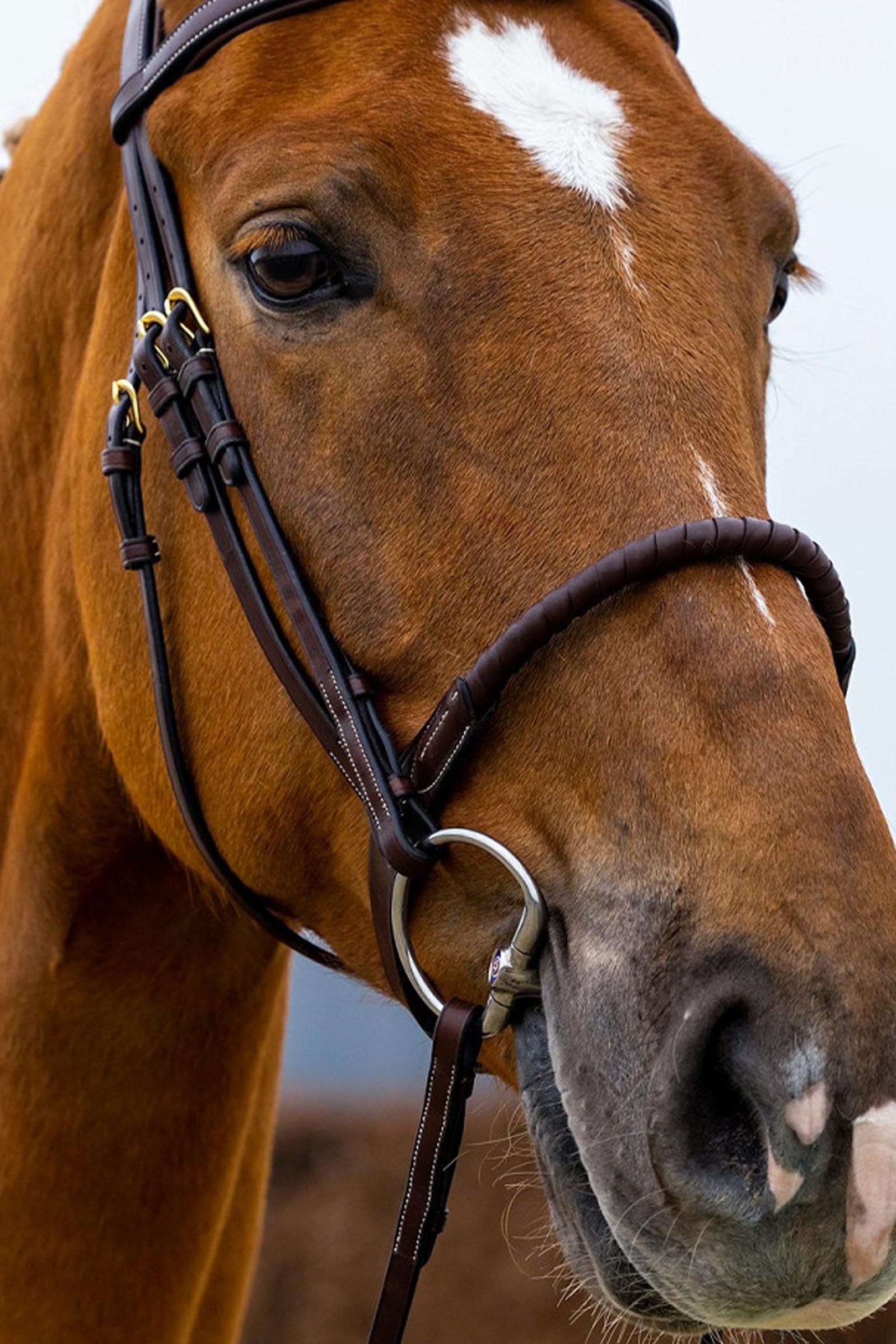 Trust Equestrian Dublin Reb N&aelig;seb&aring;nd med Bridle
