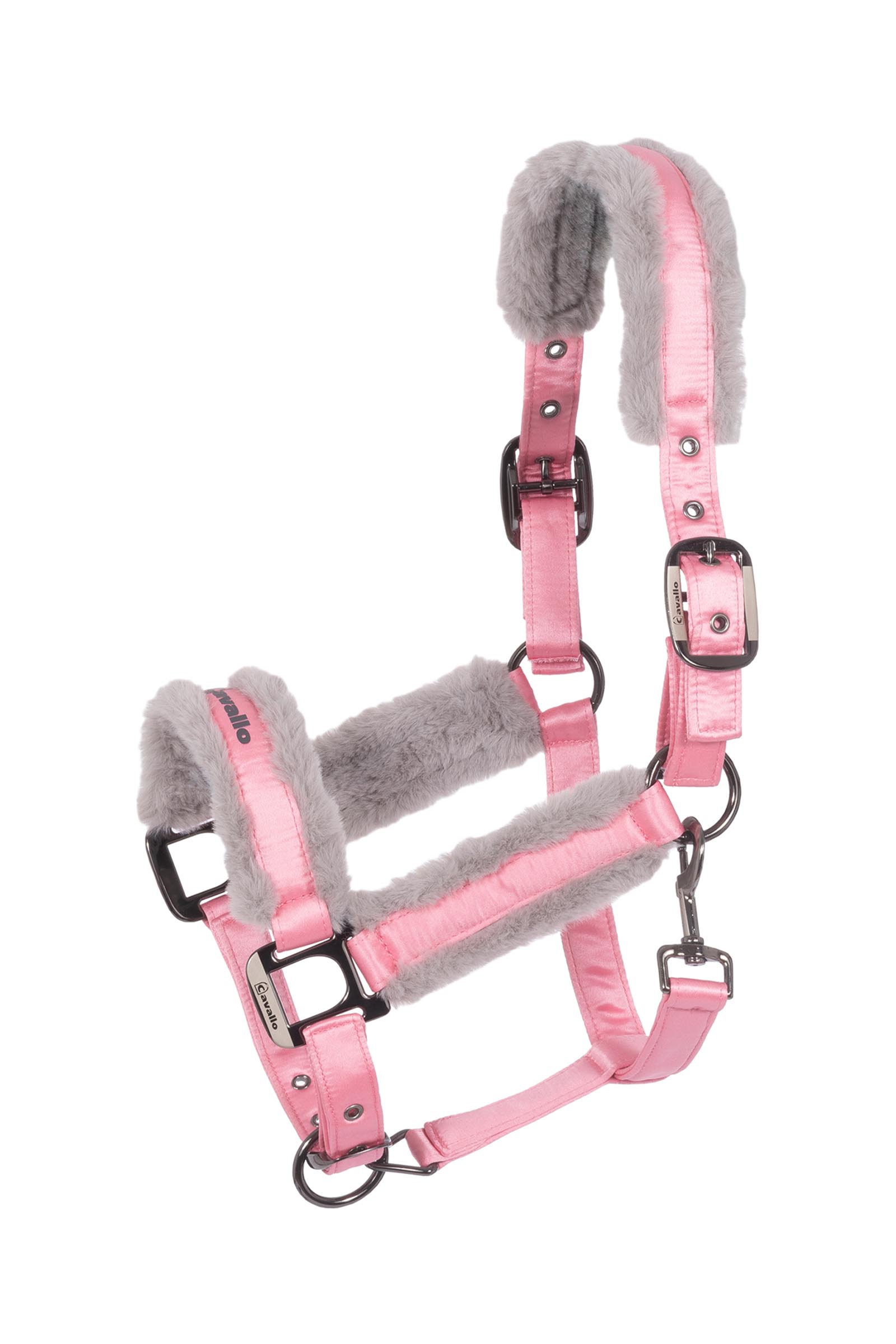 Powder Pink Cavallo CAVALJERO grime