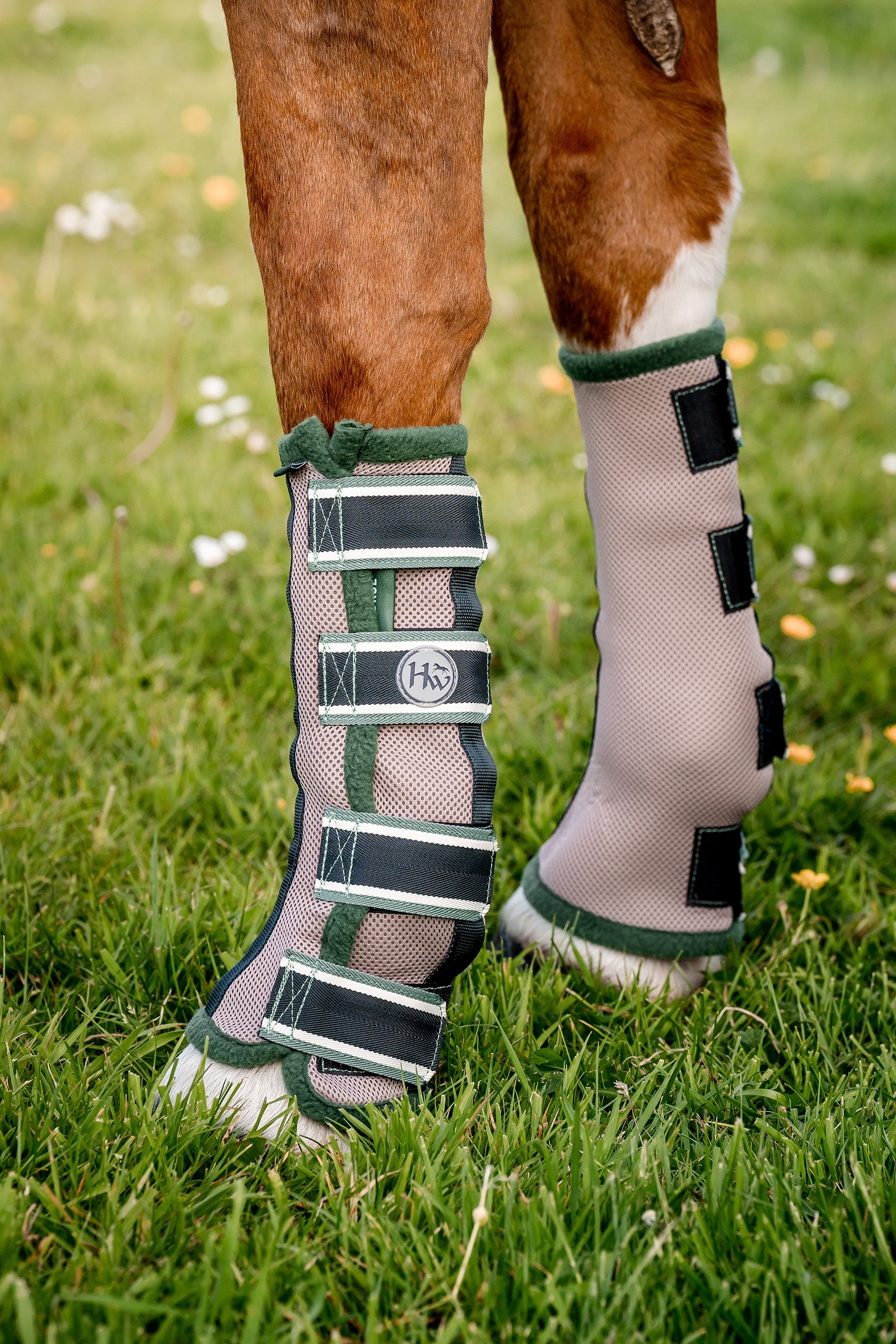 Horseware anti-flue boots til heste