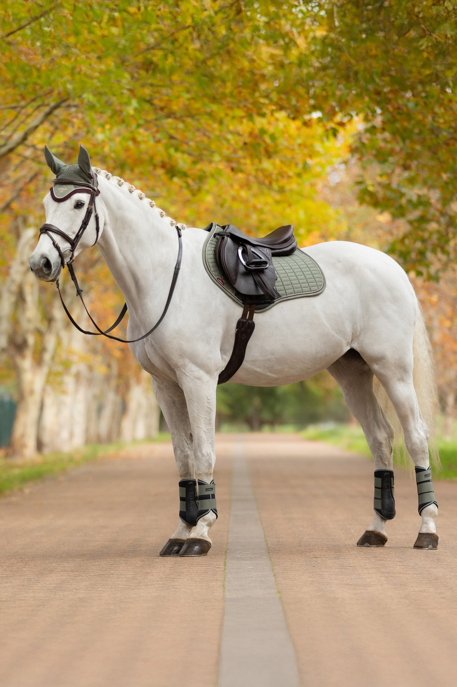 LeMieux Suede Square CC Sadelunderlag til springning