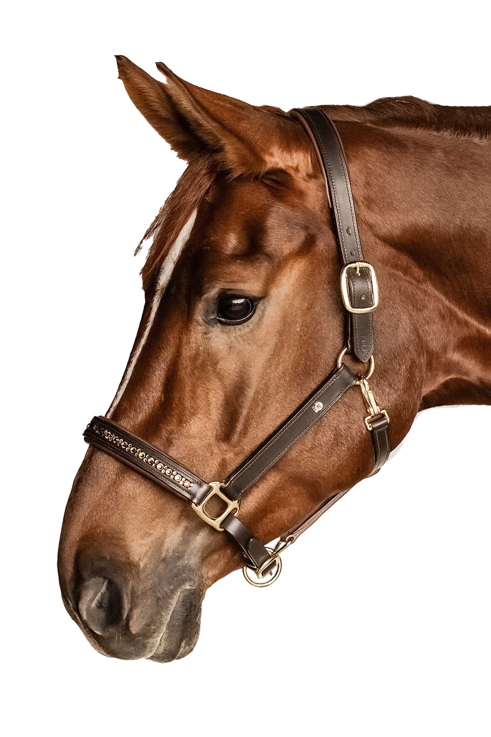 Waldhausen X-Line Crystal L&aelig;dergrime