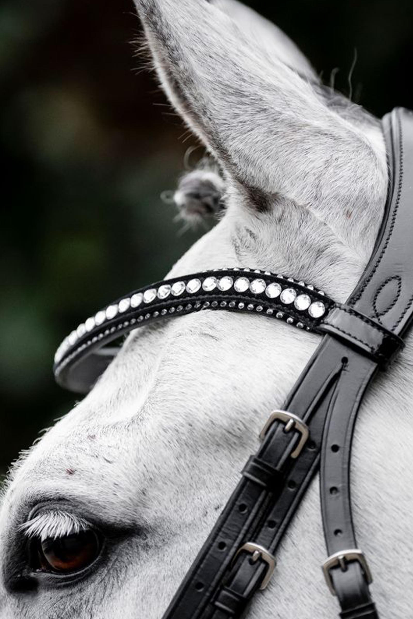 Horseware Diamante trense med kombineret n&aelig;seb&aring;nd