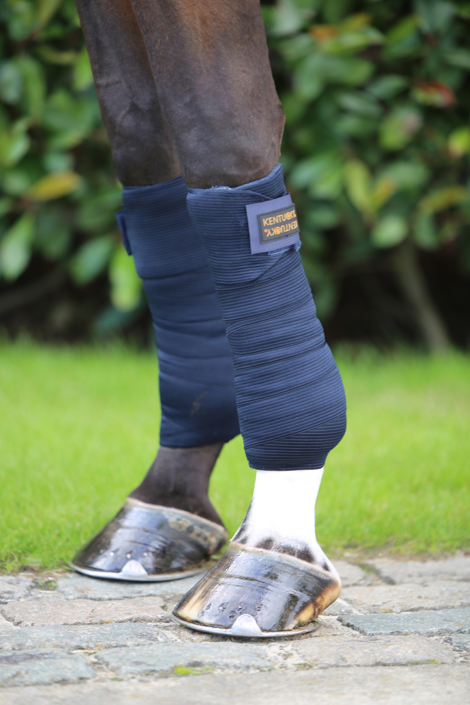 Kentucky Horsewear elastisk bandage