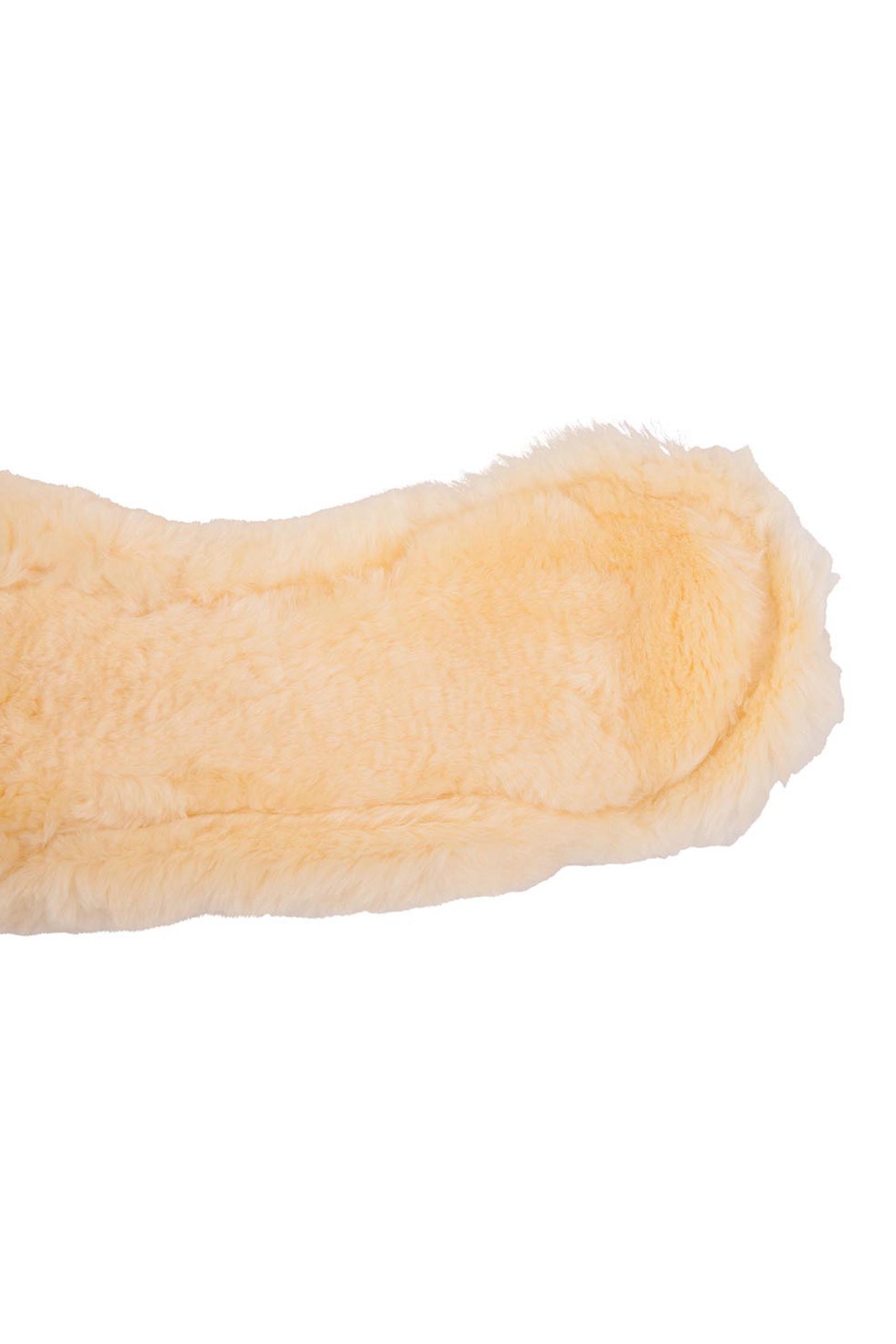 BR Eclipse dressurgjord