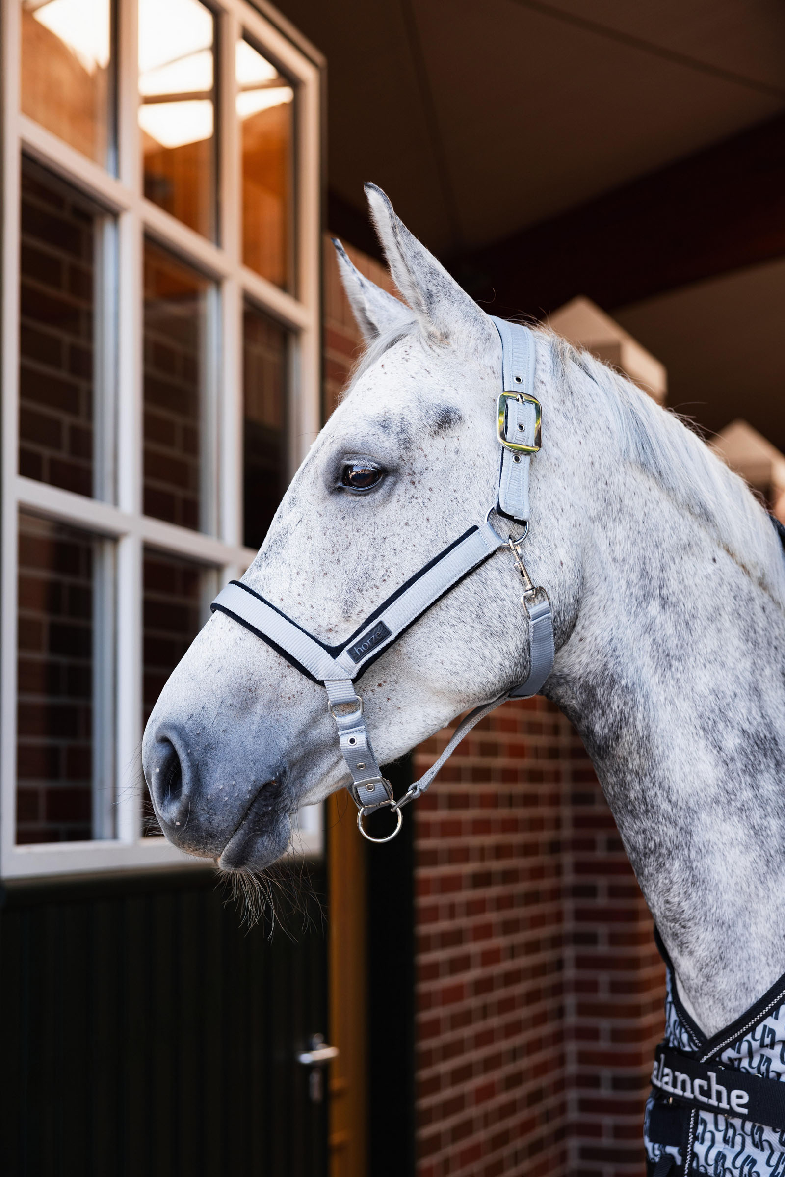 Horze Delémont grime