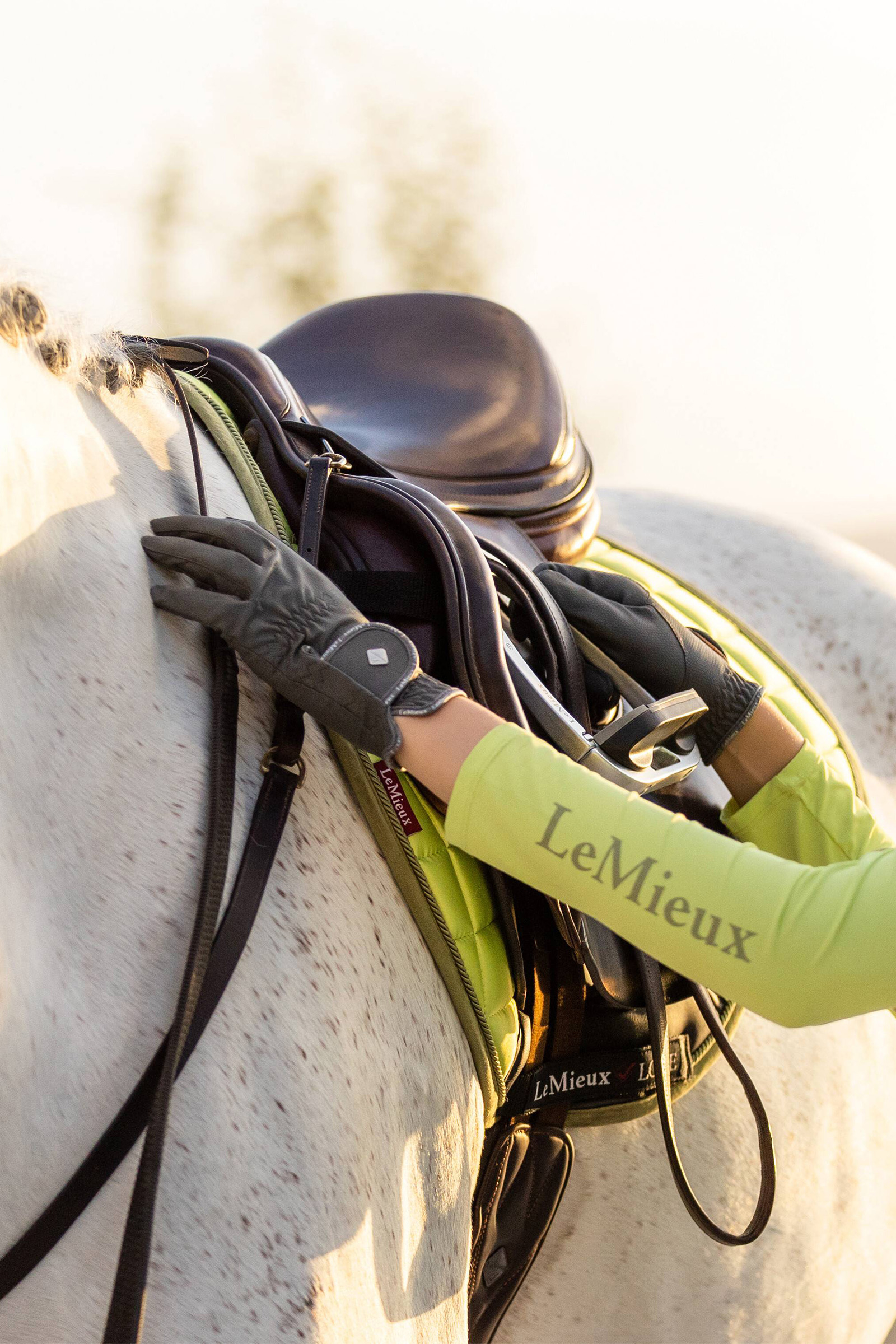 LeMieux ProTouch Classic handsker