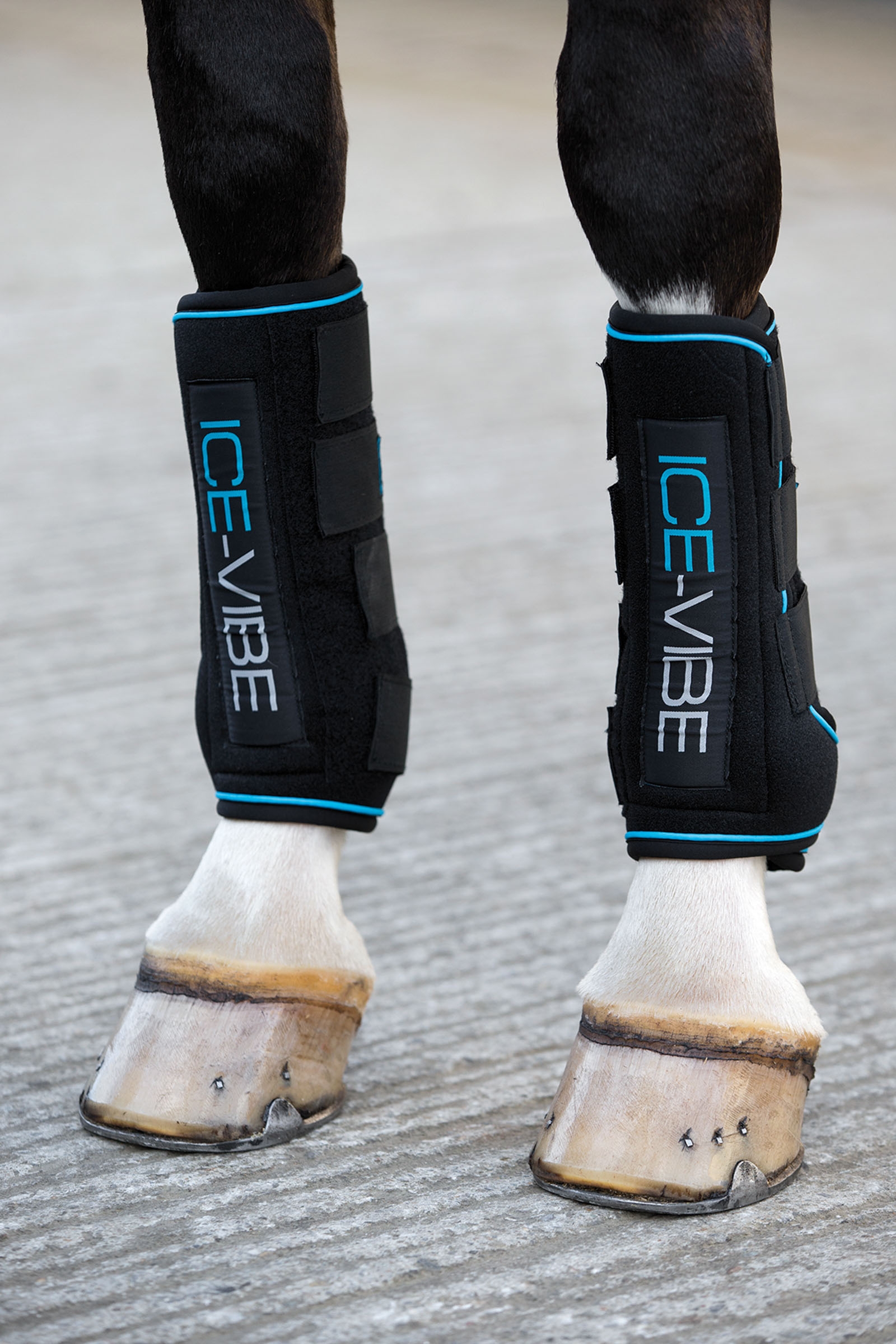 Horseware Ice-Vibe gamacher