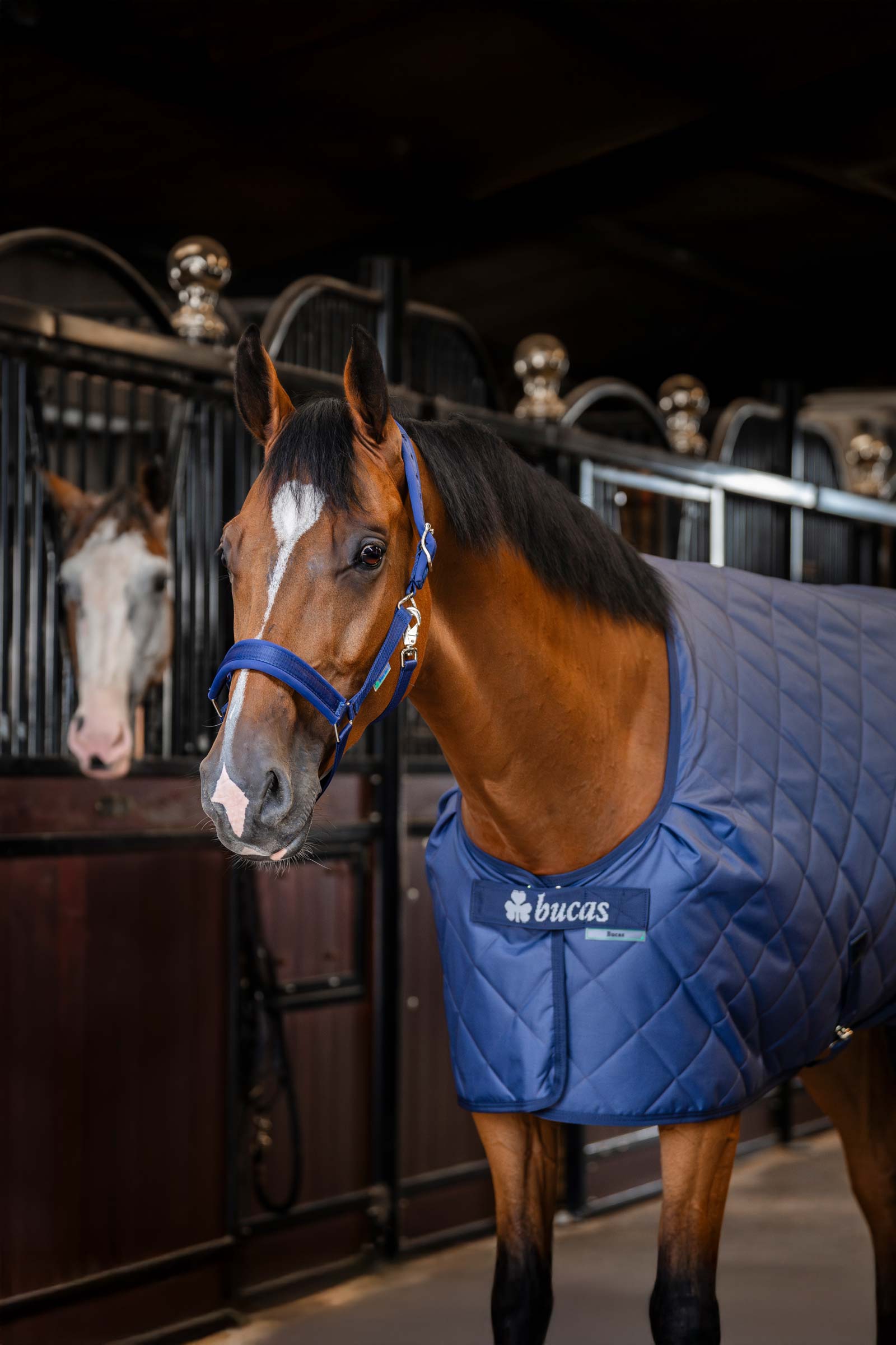 Bucas Hyggeligt Stabilt t&aelig;ppe