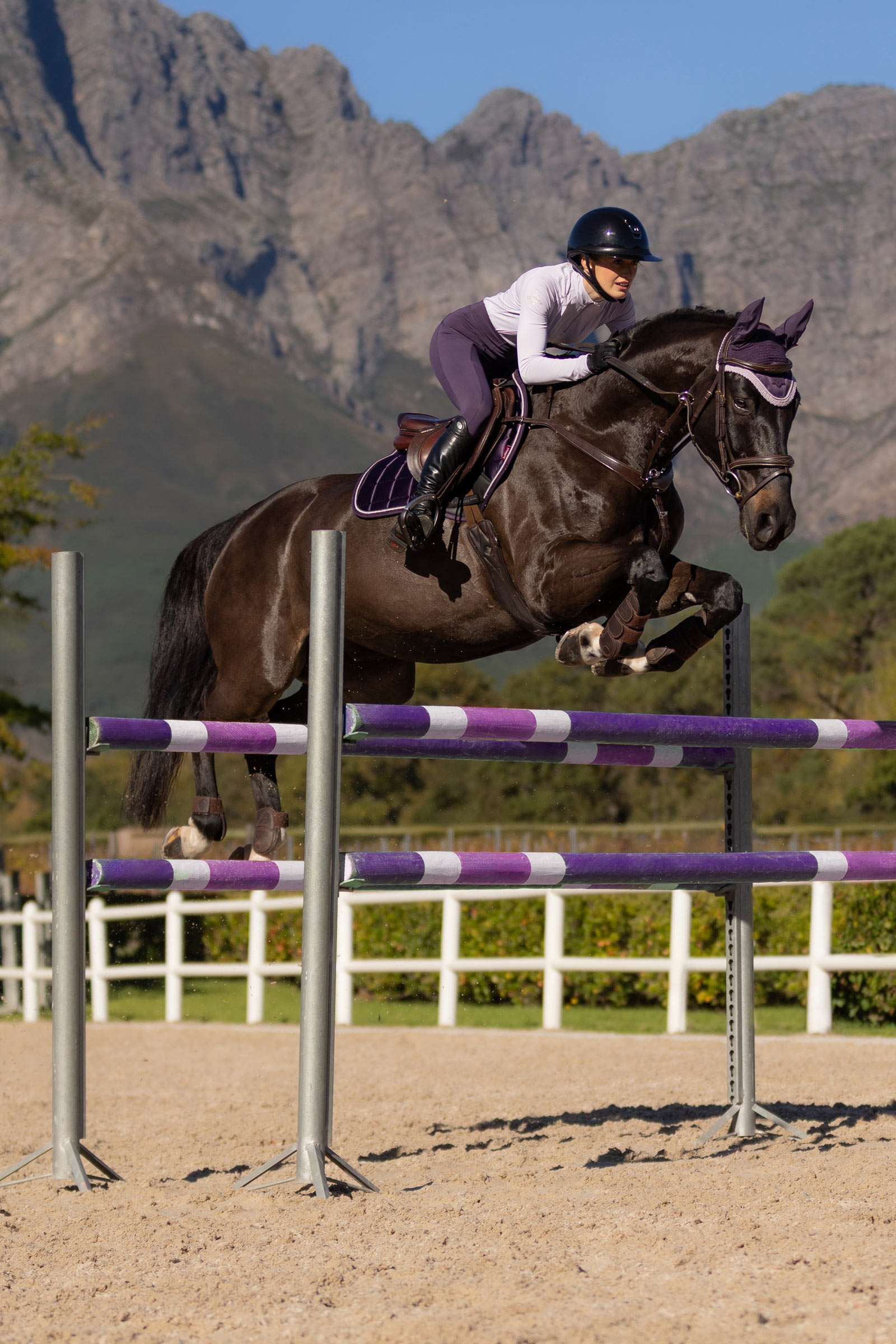 LeMieux Loire Square CC Sadelunderlag til springning